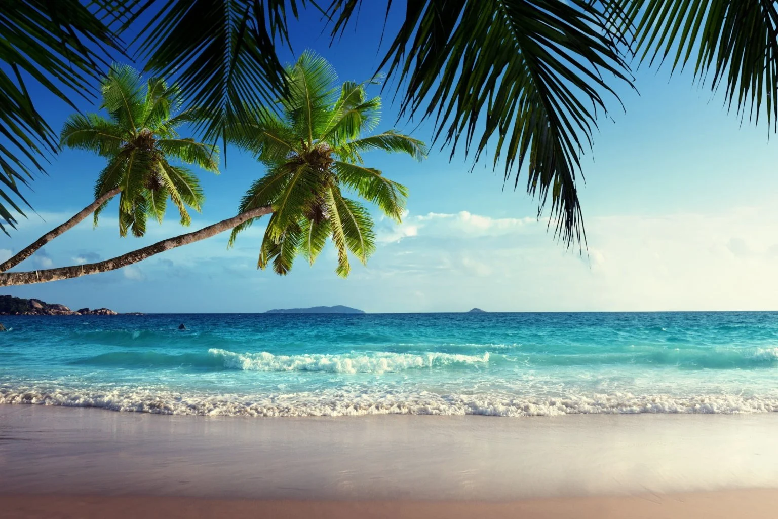 Deluxe Summer Drama Camp