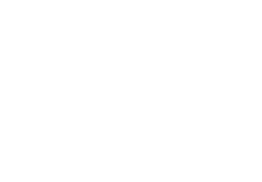 Vector &amp; Voxel
