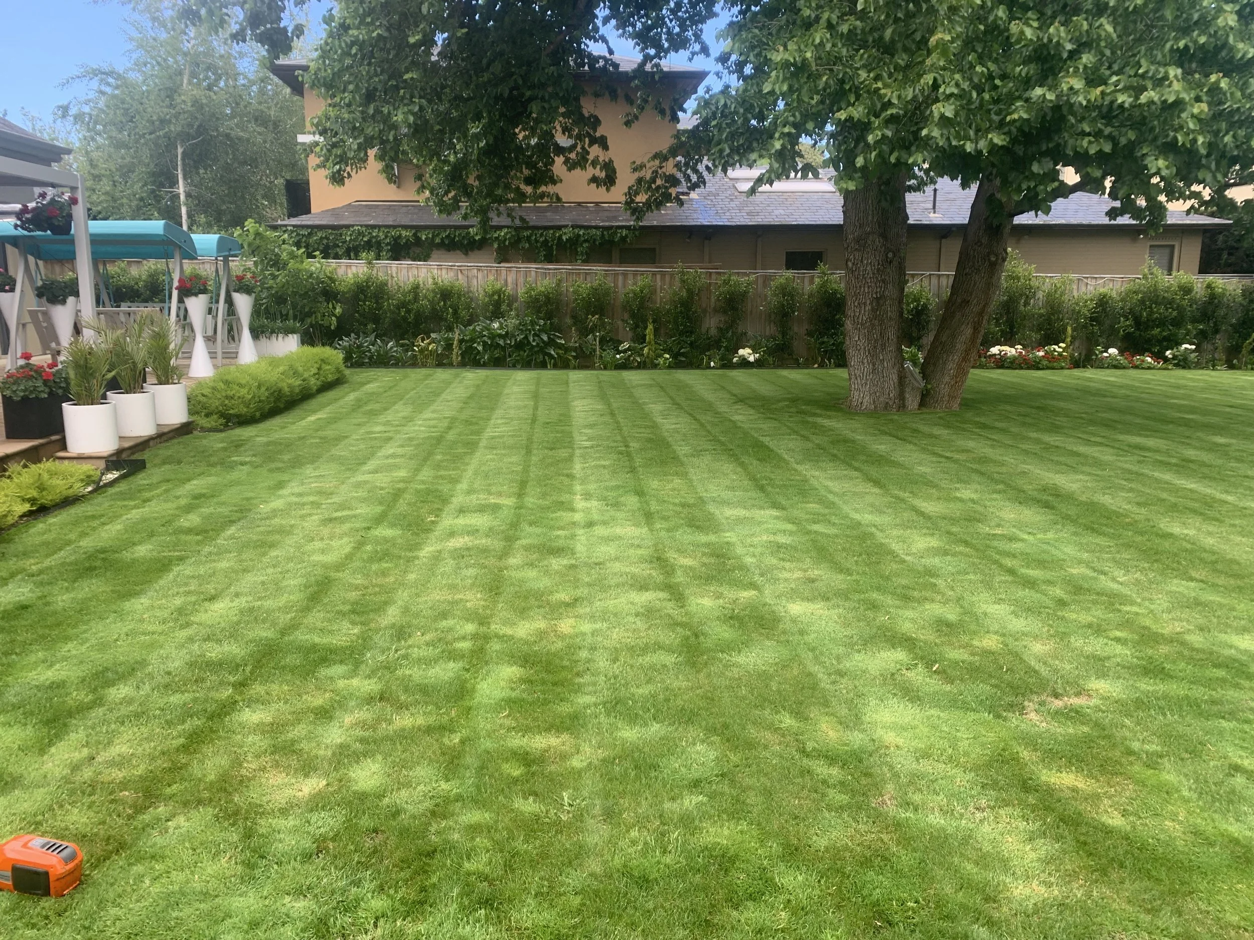 A striped lawn in fairfield