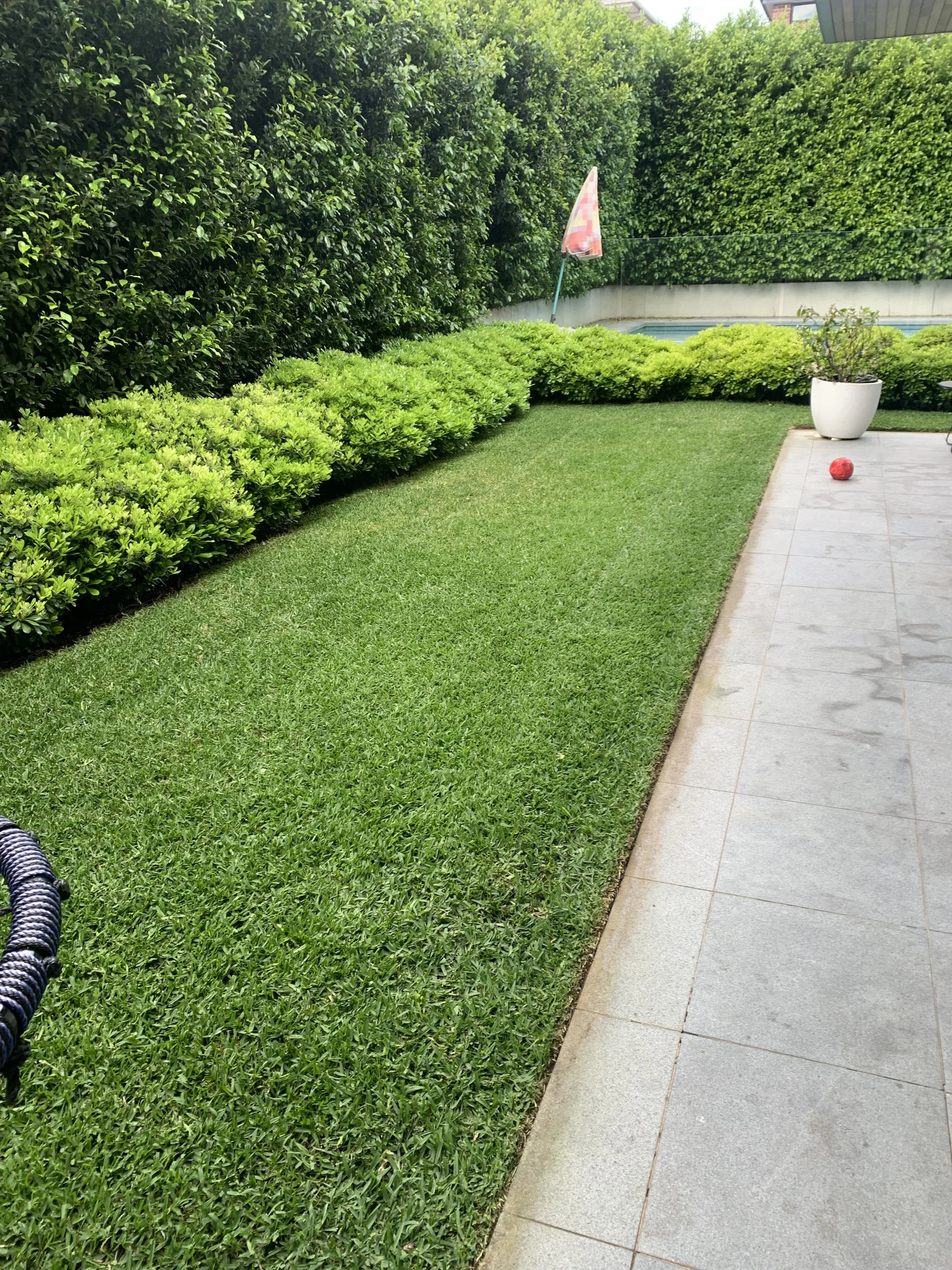 A backyard with a well-maintained grassy lawn, a paved patio area, potted plants, a pink and white volleyball, a small pool, and a pink pool flag, surrounded by tall green bushes.