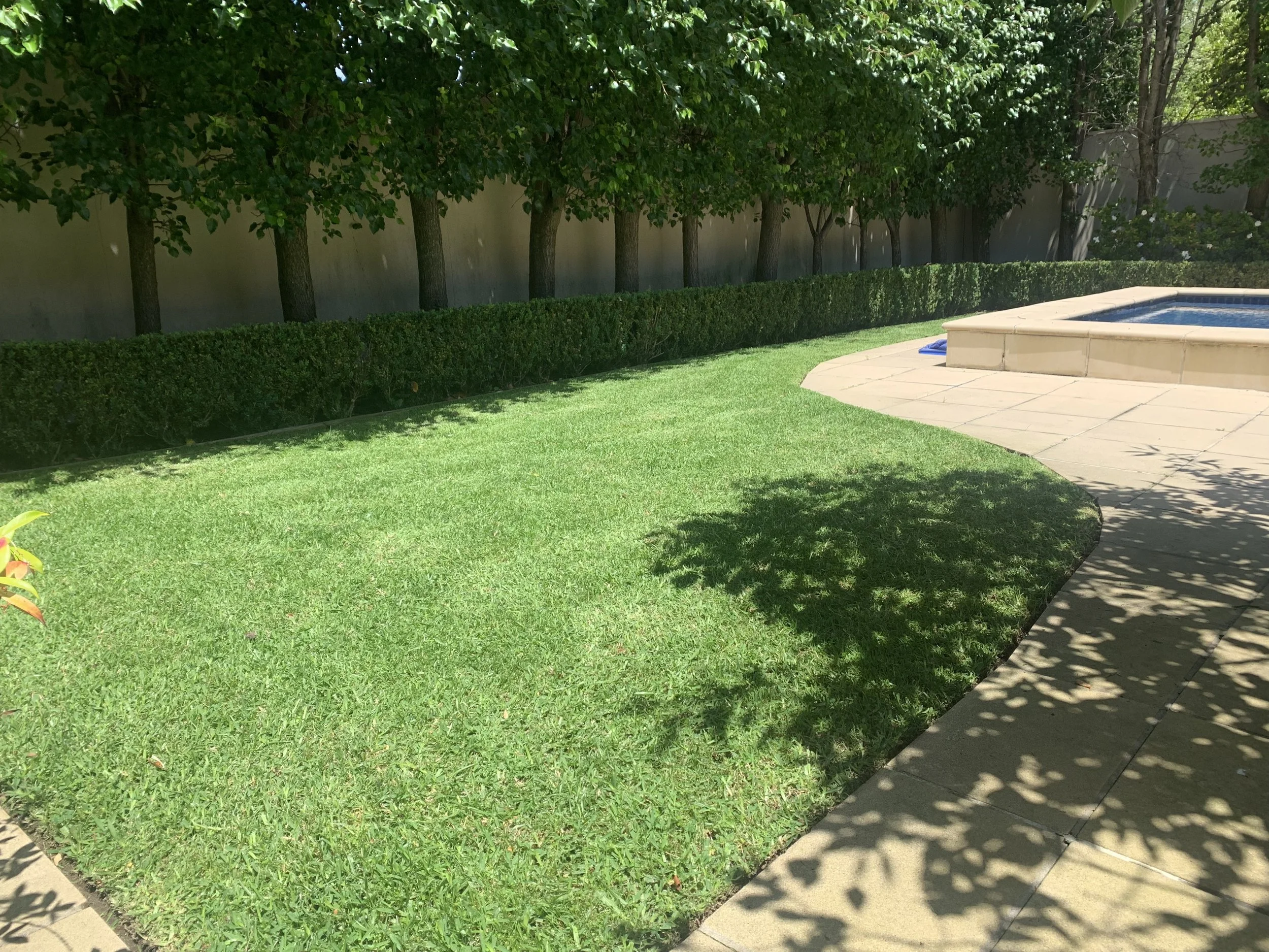 Freshly mowed lawn in Ivanhoe