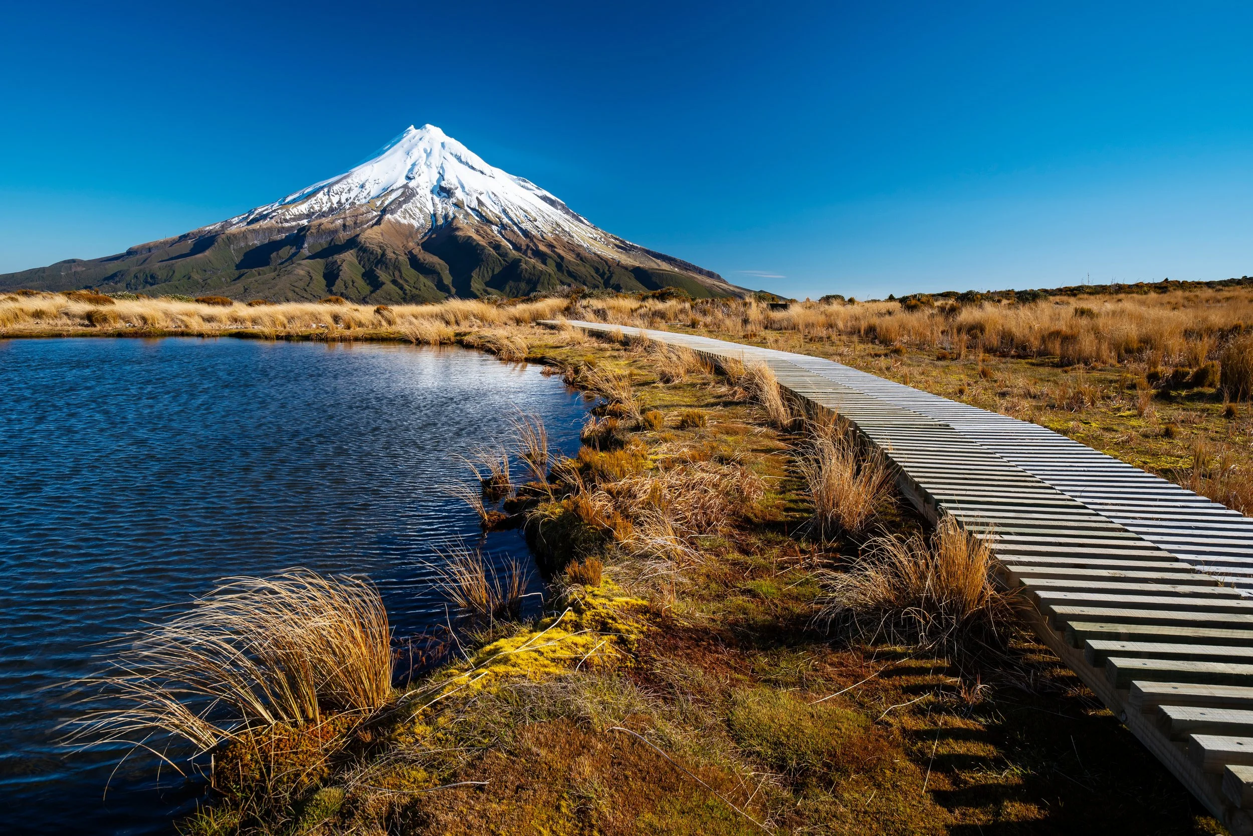 Top 5 Reasons New Zealand Work Visas Are Declined – And How to Avoid Them