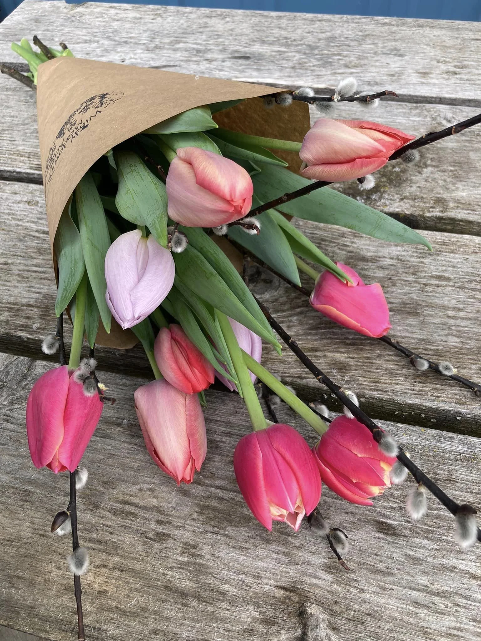 Tulips