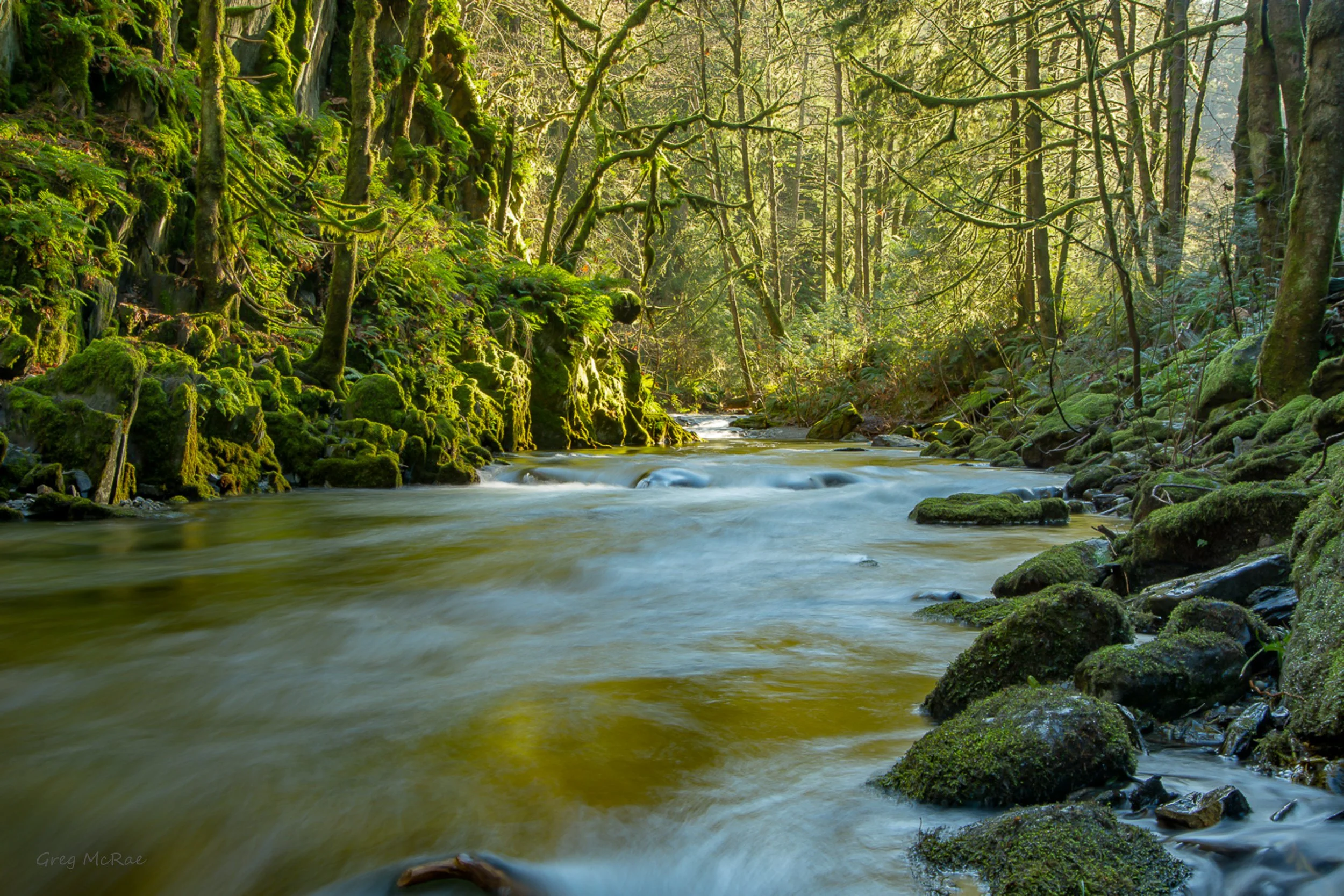 Mystical Forces of Nature