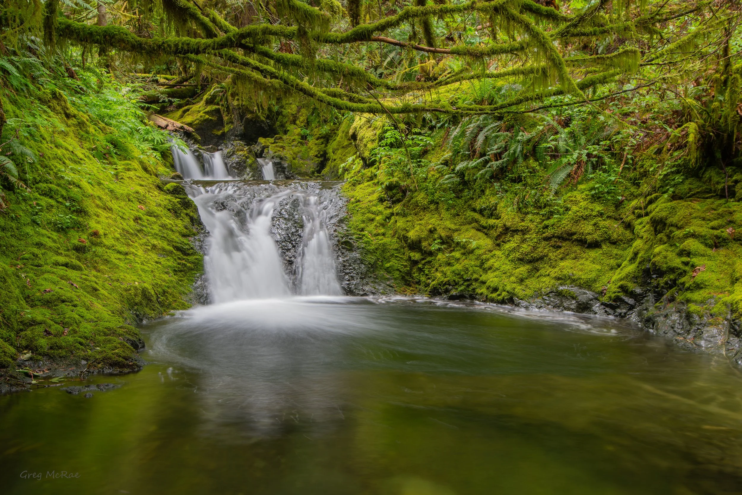 Nile Creek