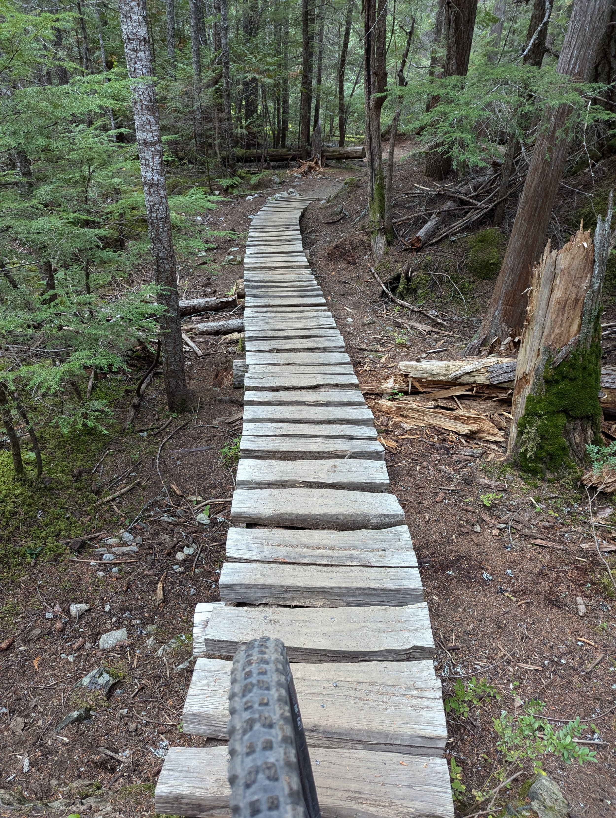 MTB 204: Trail Riding | Blue Level