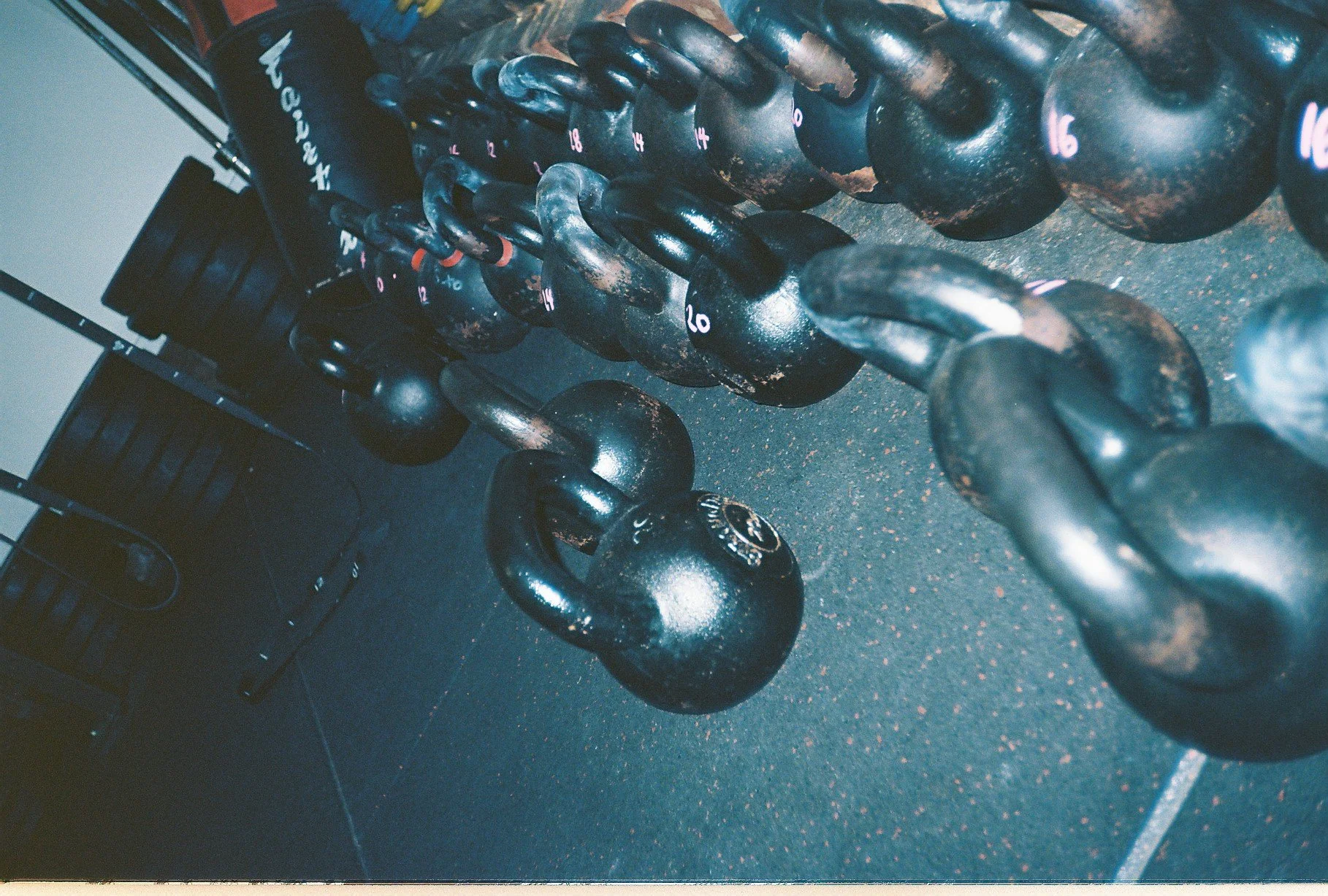 MARCH: Program Guide (Iron Cardio)