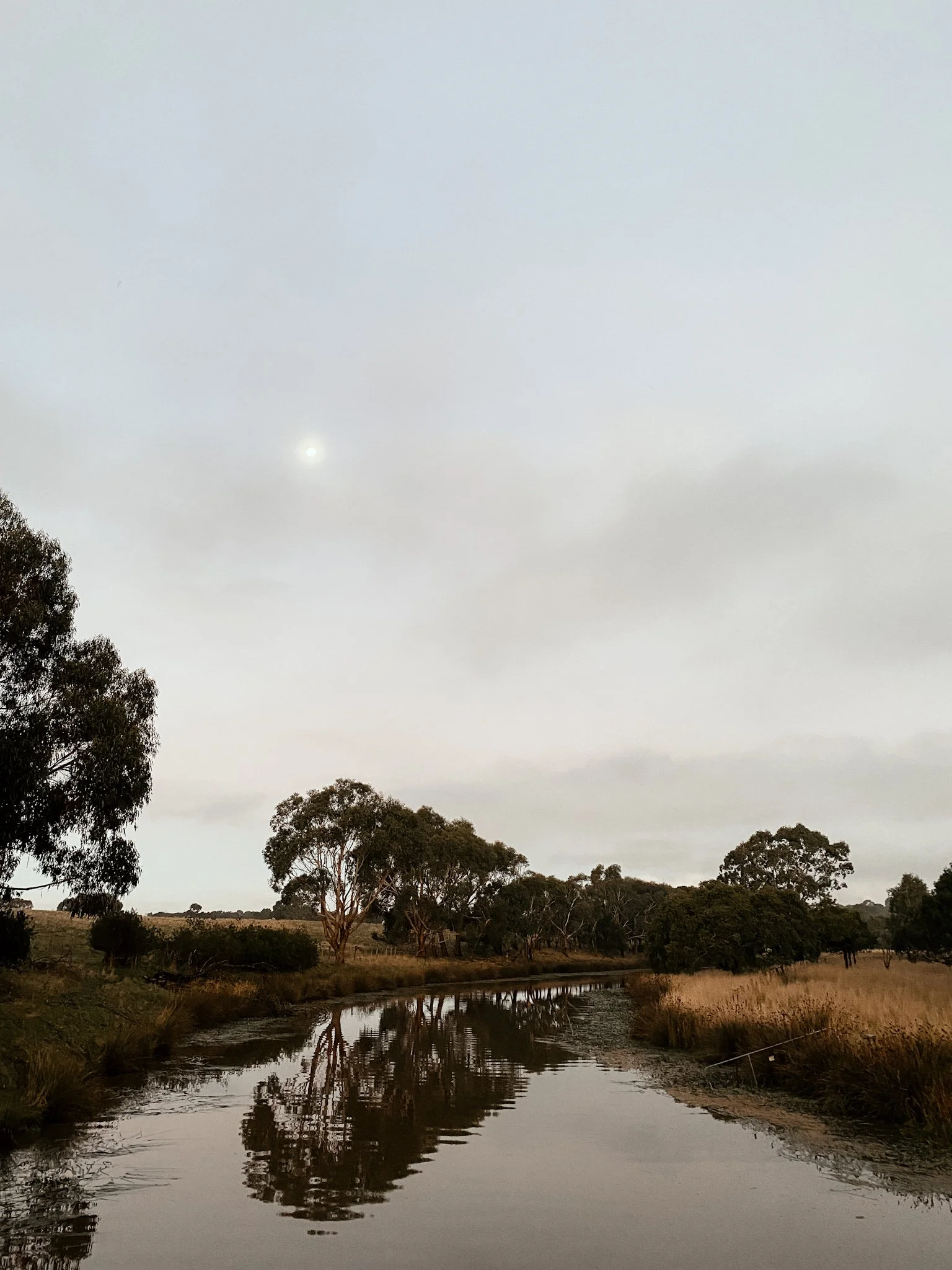 The Secret Ingredient Behind Aesthetic Photos (Hint: It’s Not Your Camera)