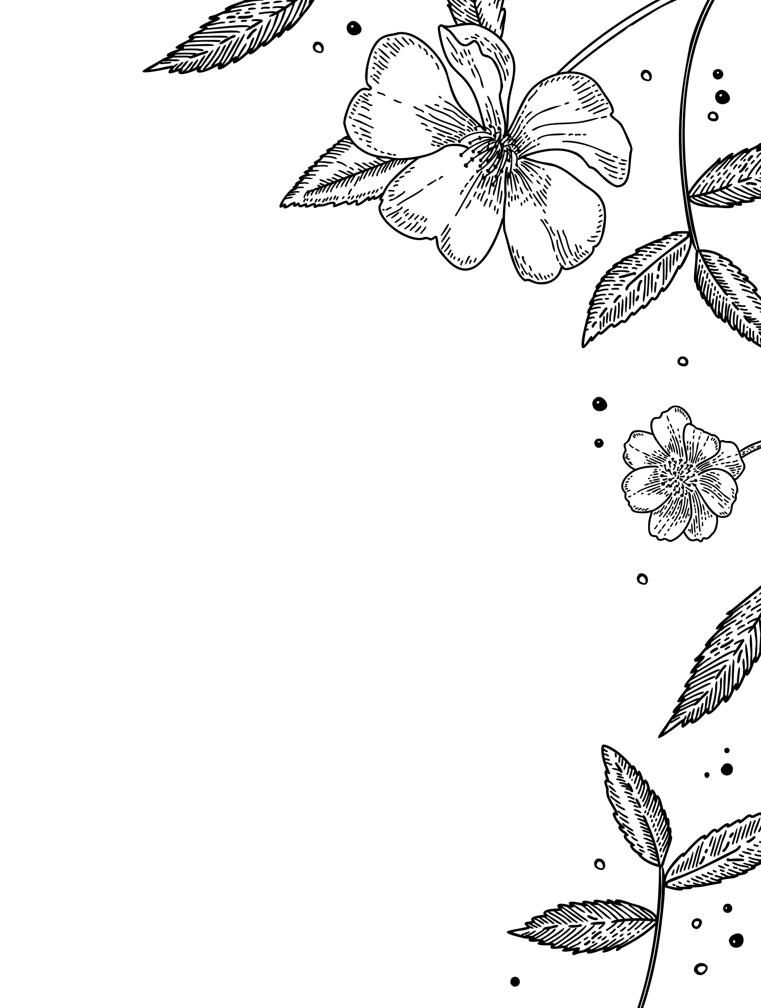 Black background with the phrase 'Happy New Year 2024' written in large, colorful letters.