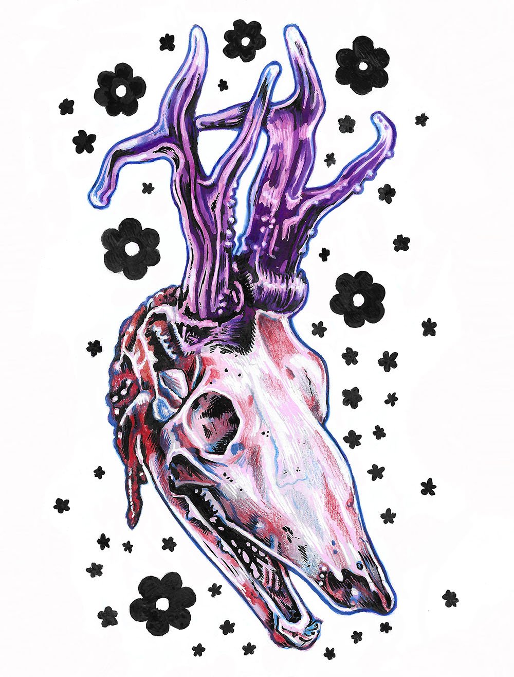 deer skull web.jpg