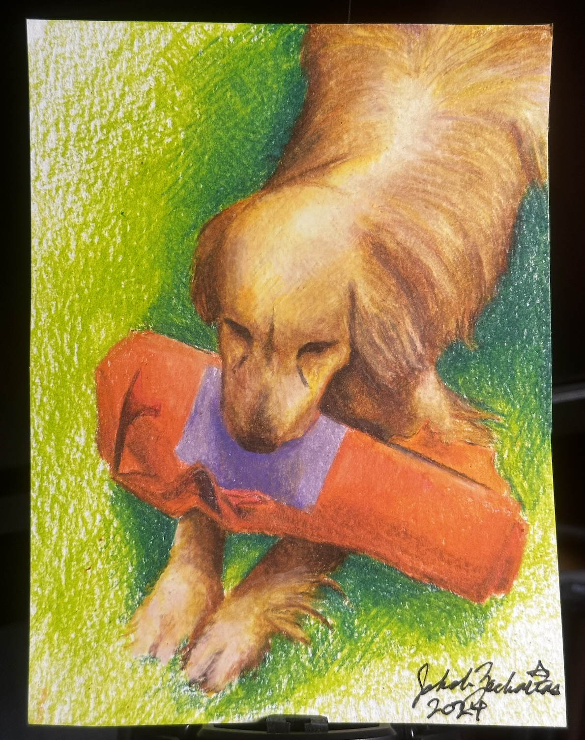 My Dog, Danny, done with coloured pencil when I was first learning how to use them. Rest in peace, brother.