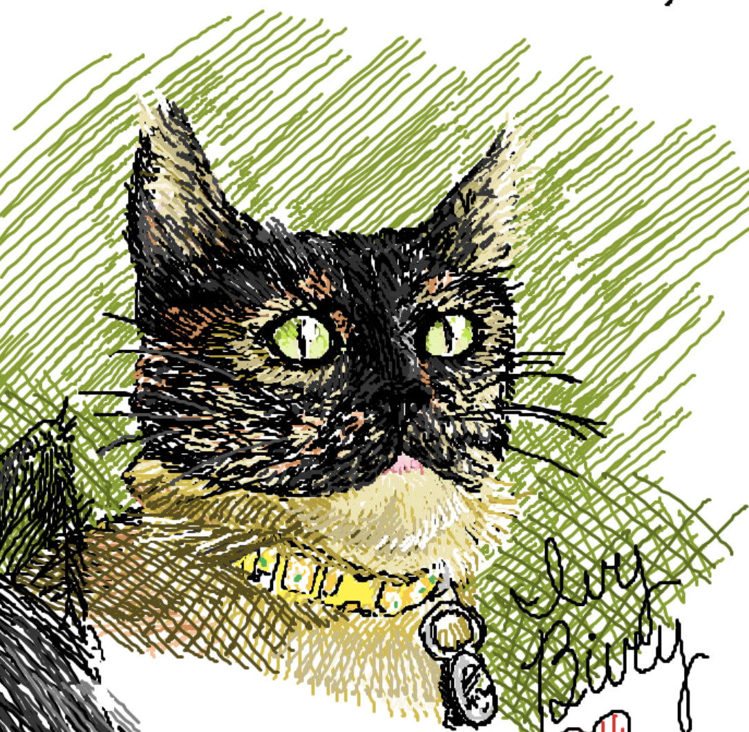 Drawing of a cat done with a mouse in MS Paint.