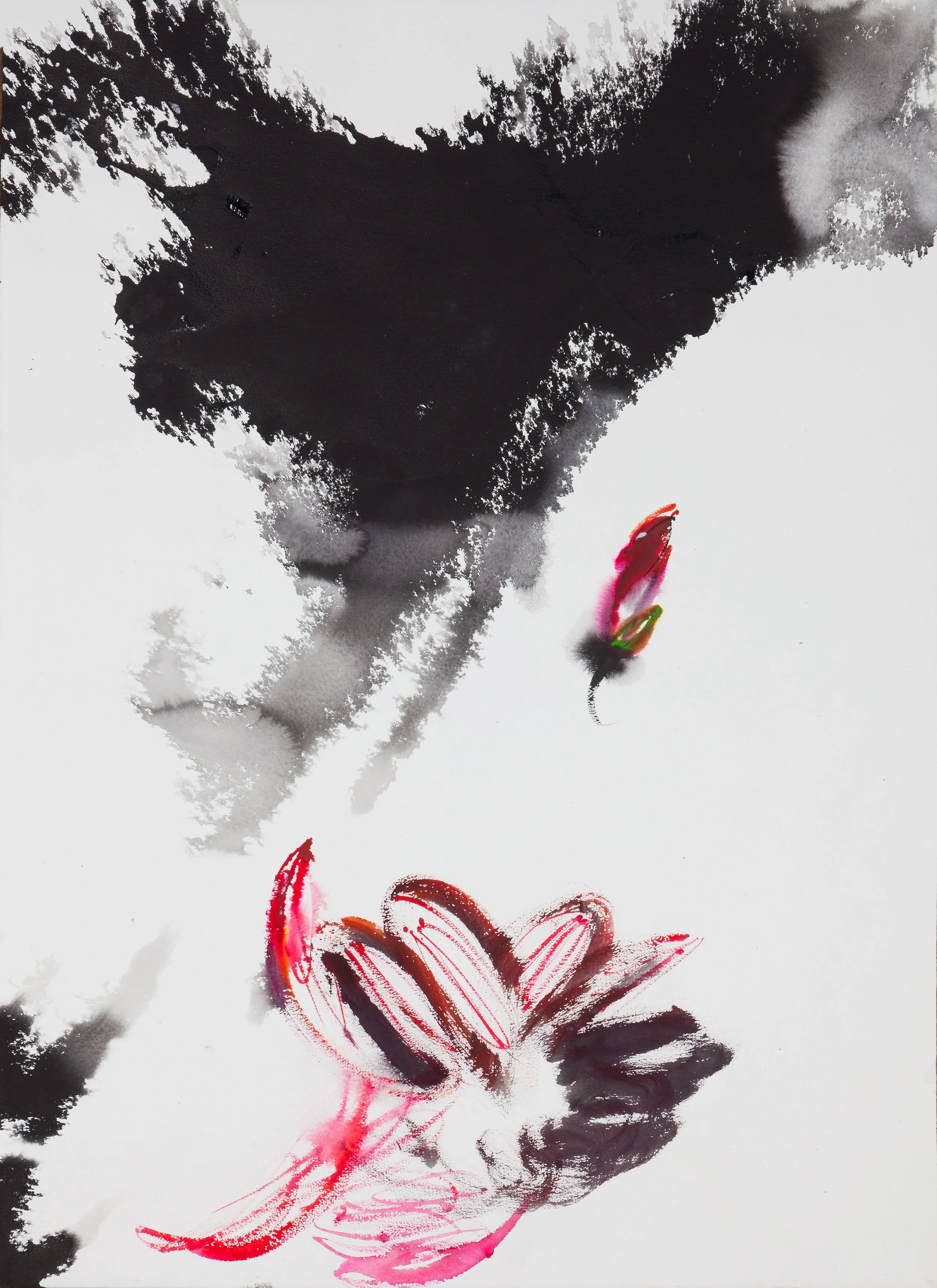 Roc Flying and Lotus Dancing