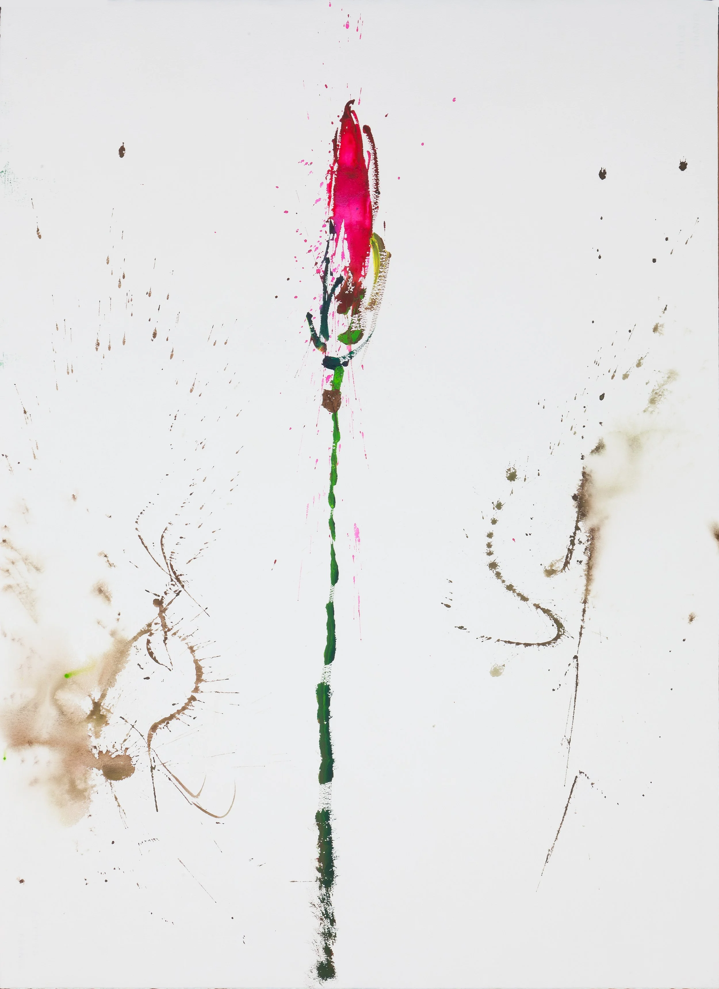 A Single Blossom Stands Out