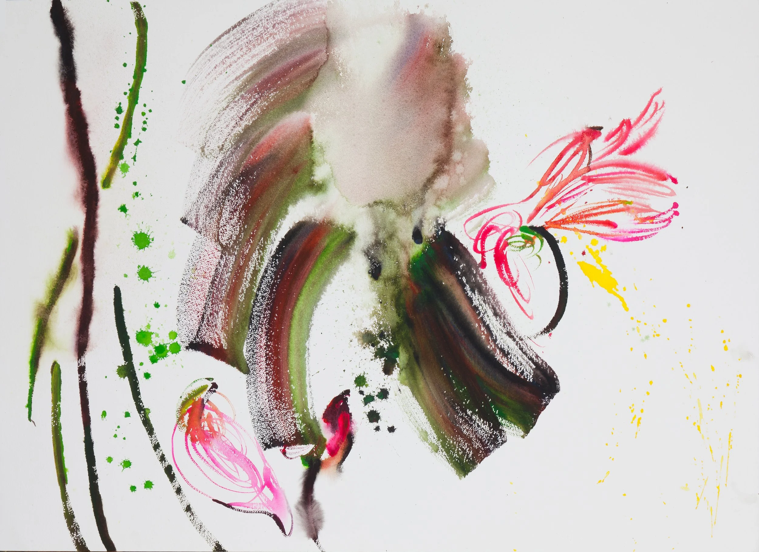 New Interpretation of the Lotus