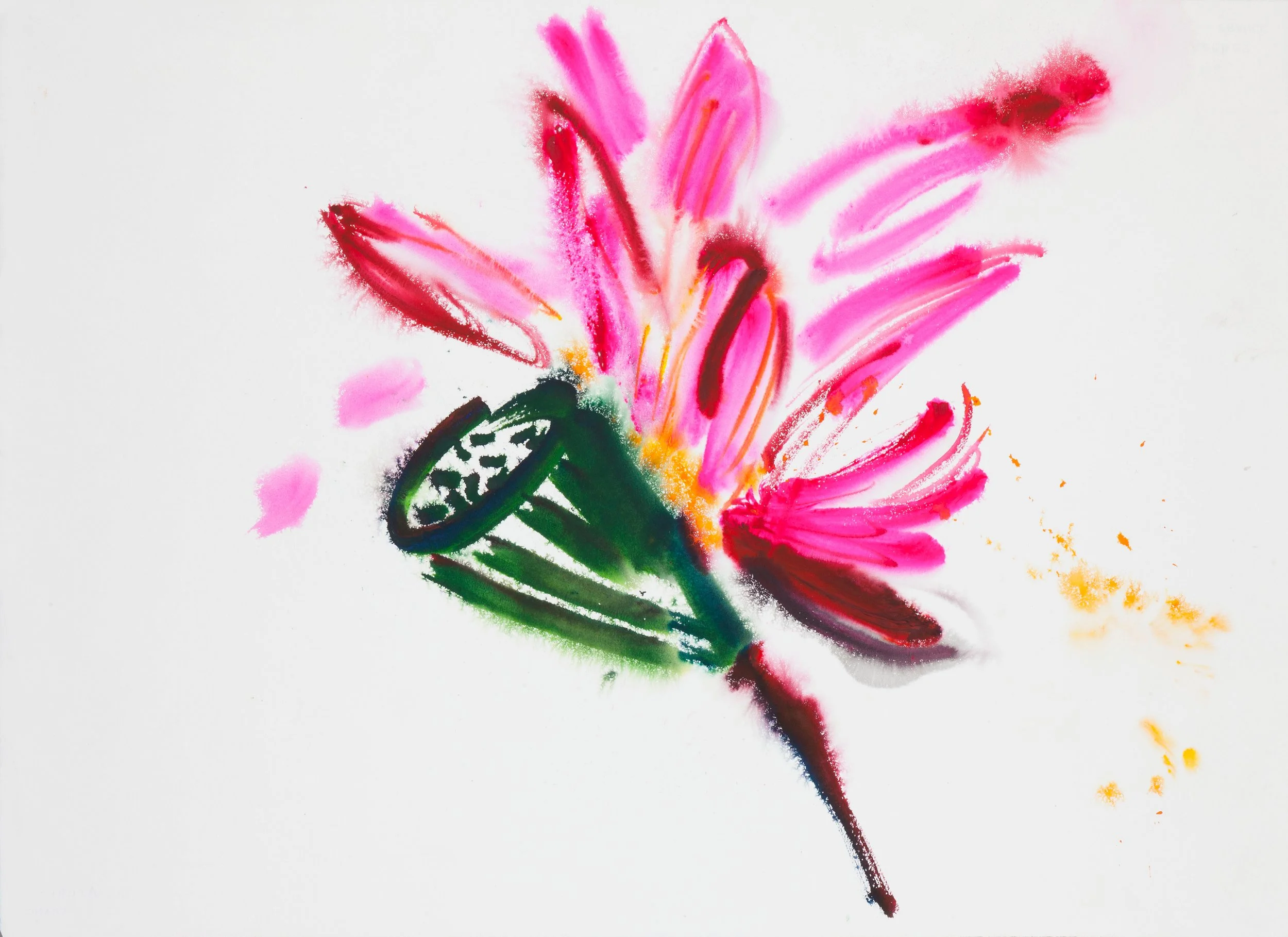 Feather Fan and Lotus