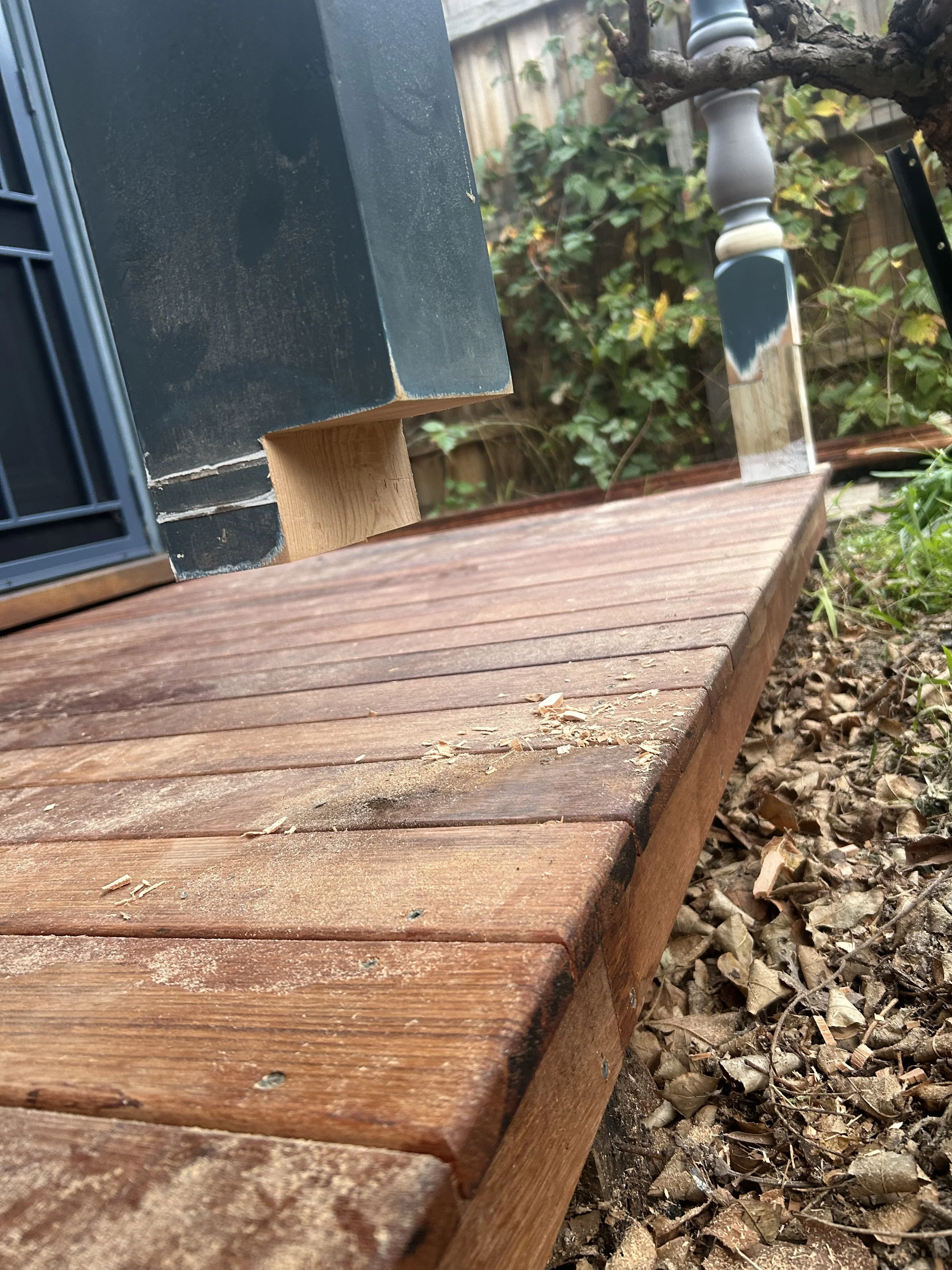 IMG_2226.jpeg