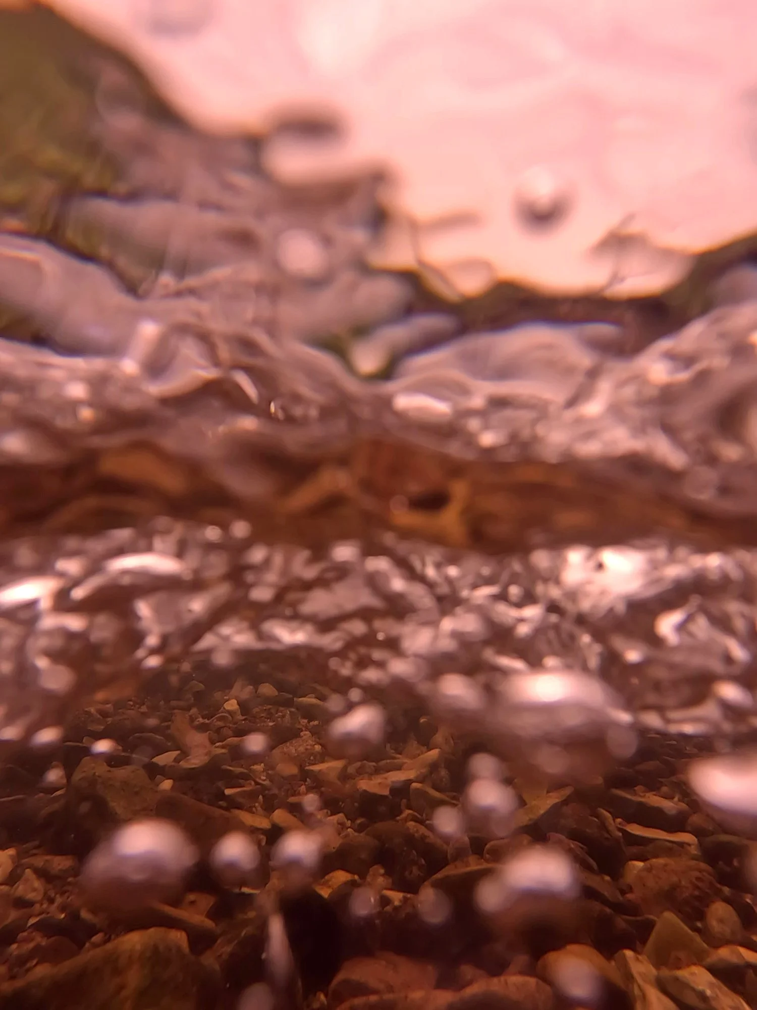 Im Fluss sein, 20.06-26.07.26, Galerie Altes Rathaus Musberg