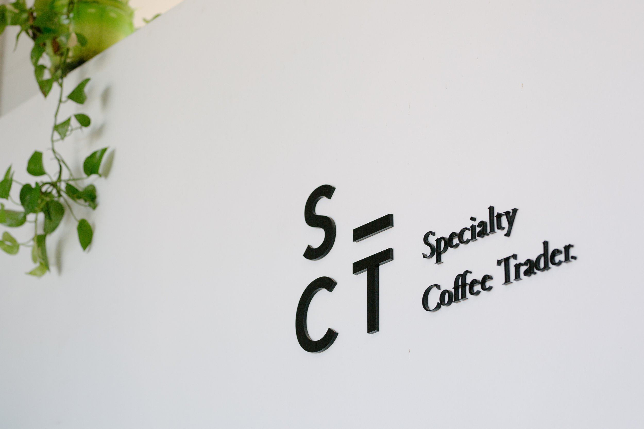 SCT-3.jpg