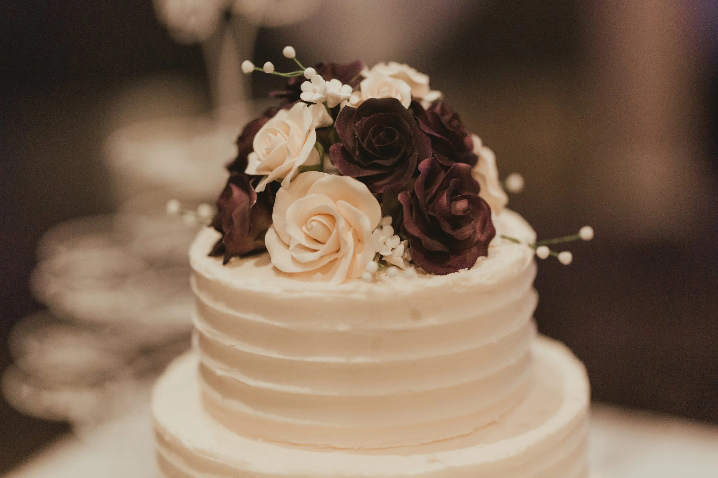 Reception Wesley and Bree-Anna-22.jpg