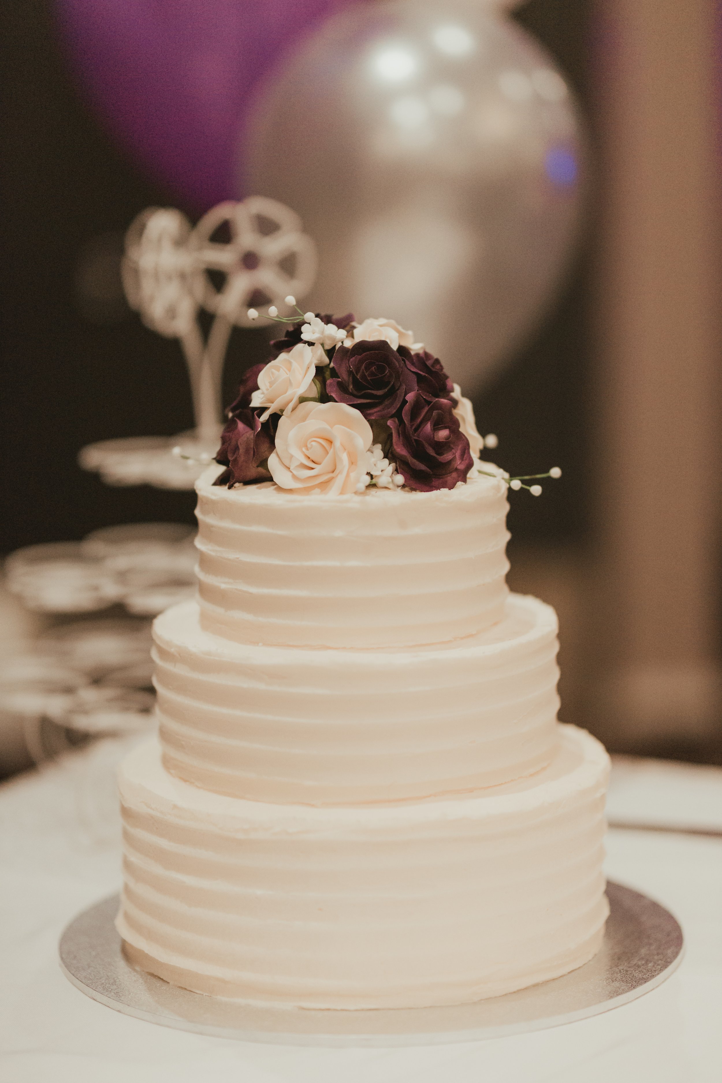 Reception Wesley and Bree-Anna-23.jpg