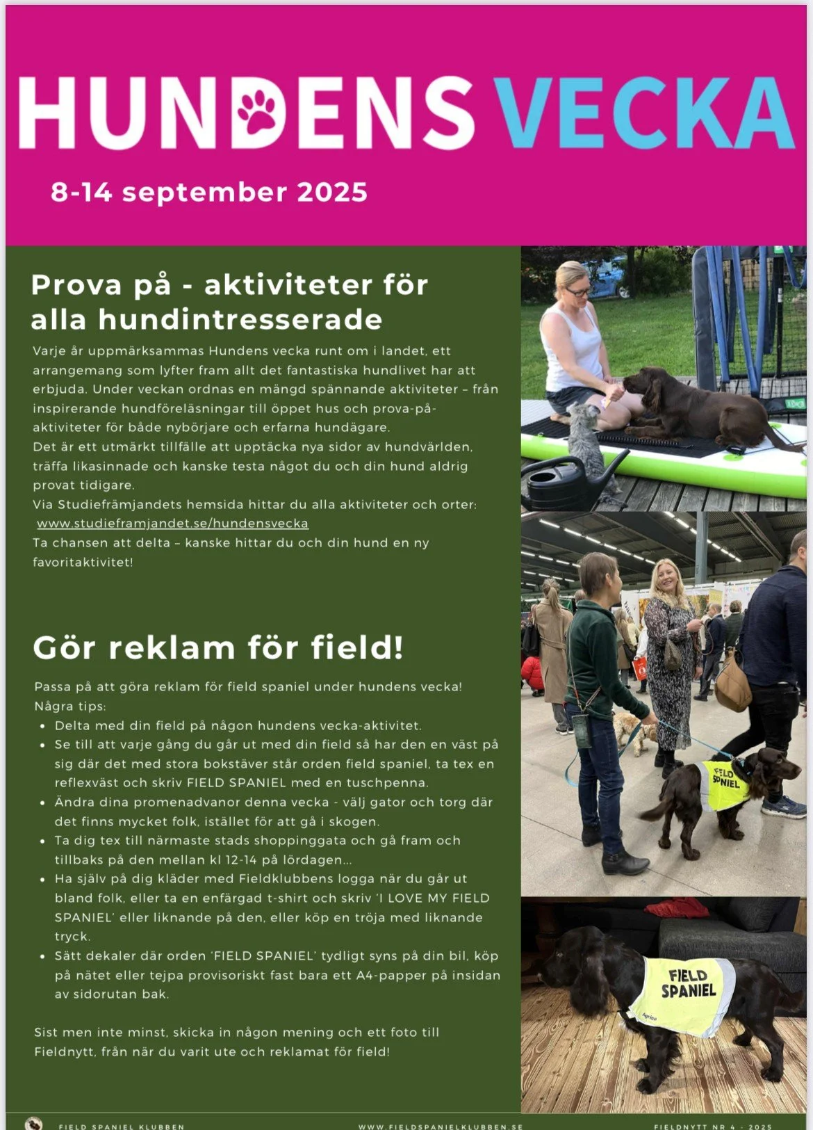 Hundens vecka 8-14 september!