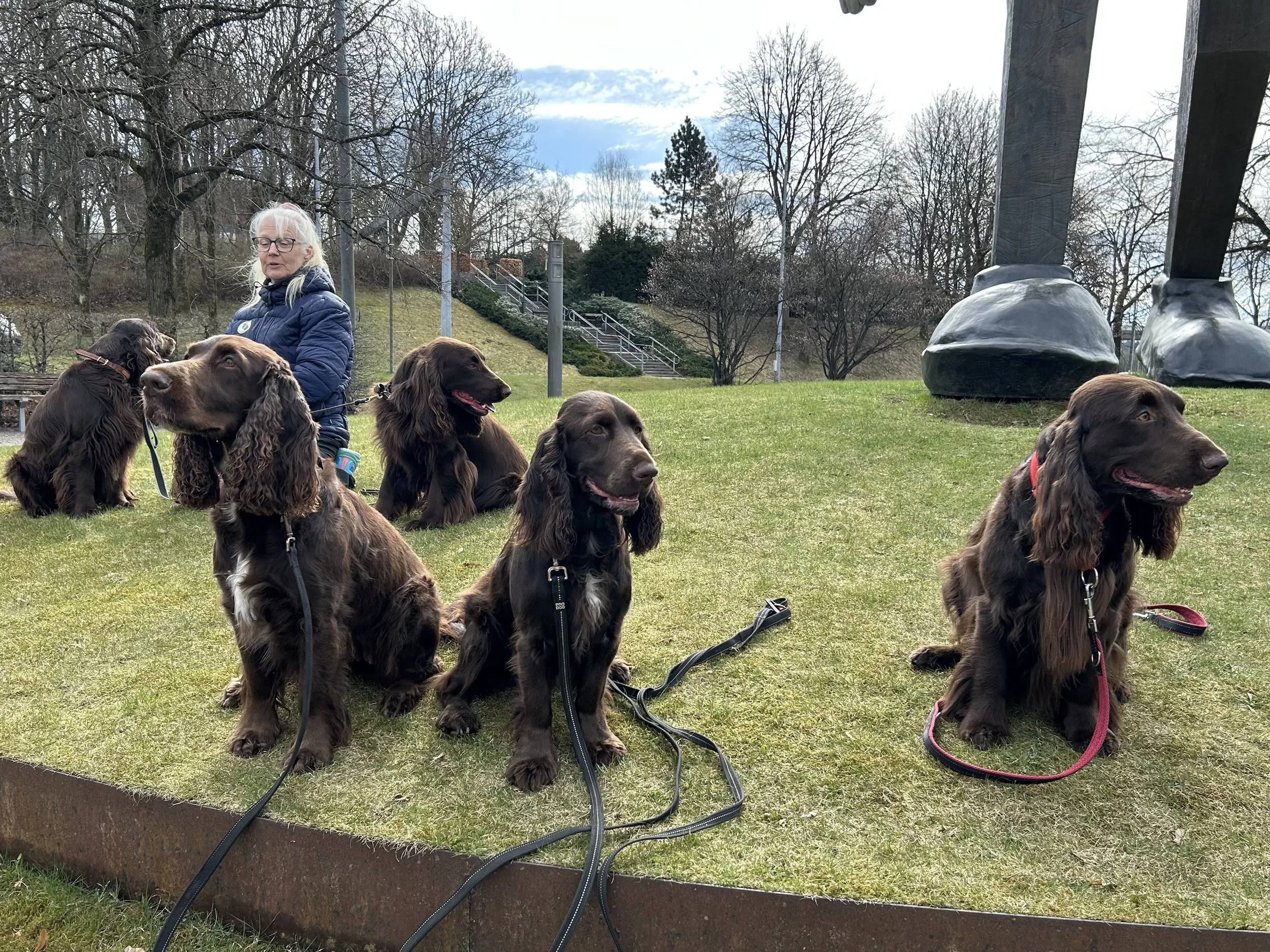 Fieldträff i Boden