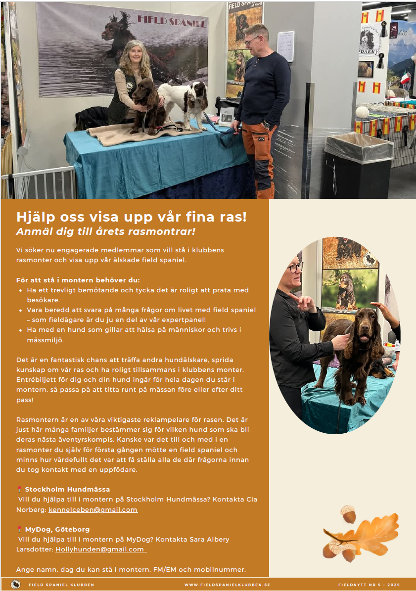 Vill du hjälpa till att göra reklam för field?! Till Stockholms hundmässa 13-14 december 2025 samt  MyDog 3-6 januari 2026 behöver vi folk och fieldar som står i montern och gör reklam för vår ras!