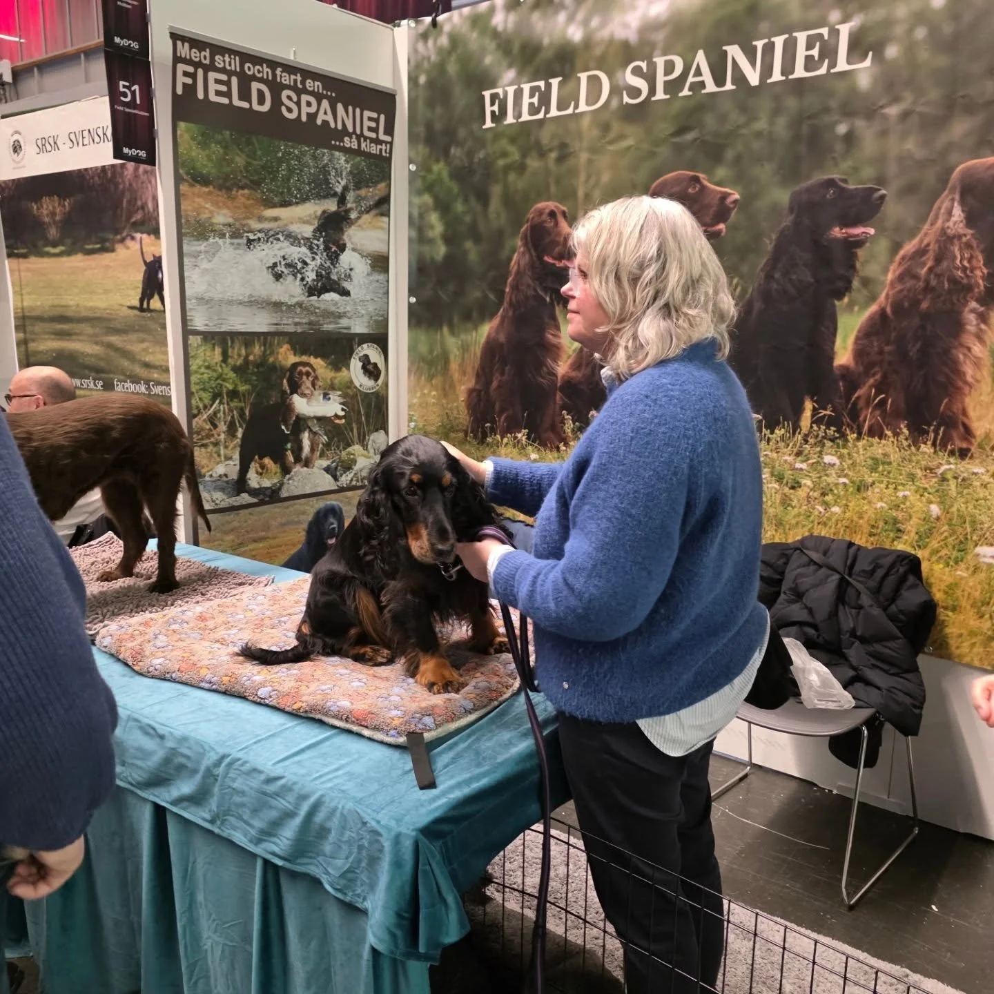 Kom och h&auml;lsa p&aring; oss i rasmontern p&aring; MyDog 🌟❤️

#fieldspaniel #rasmonter #mydog #fieldspanielklubben