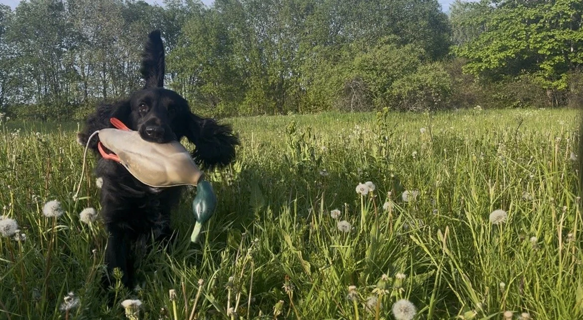 Årets jakt klubbmästerskap! 