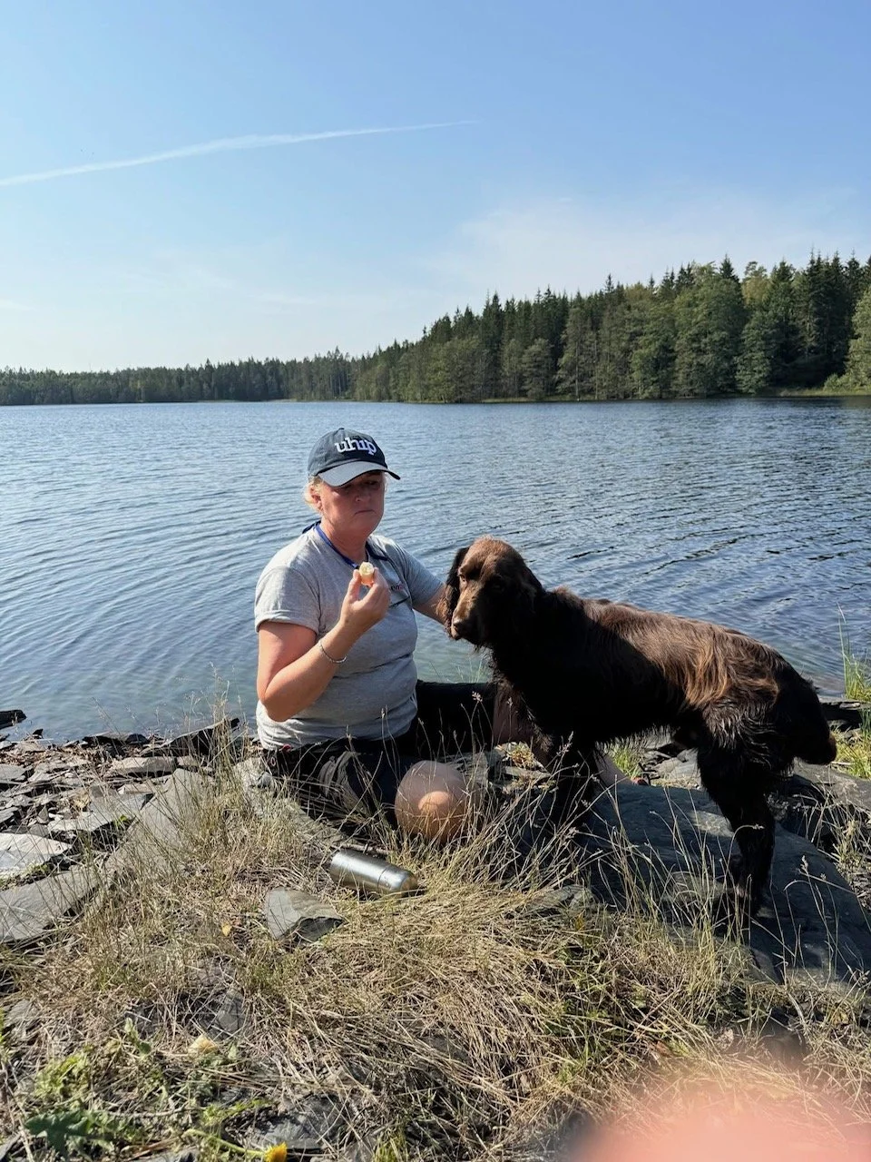 Nose Work &amp; viltspårsträning i Landvetter