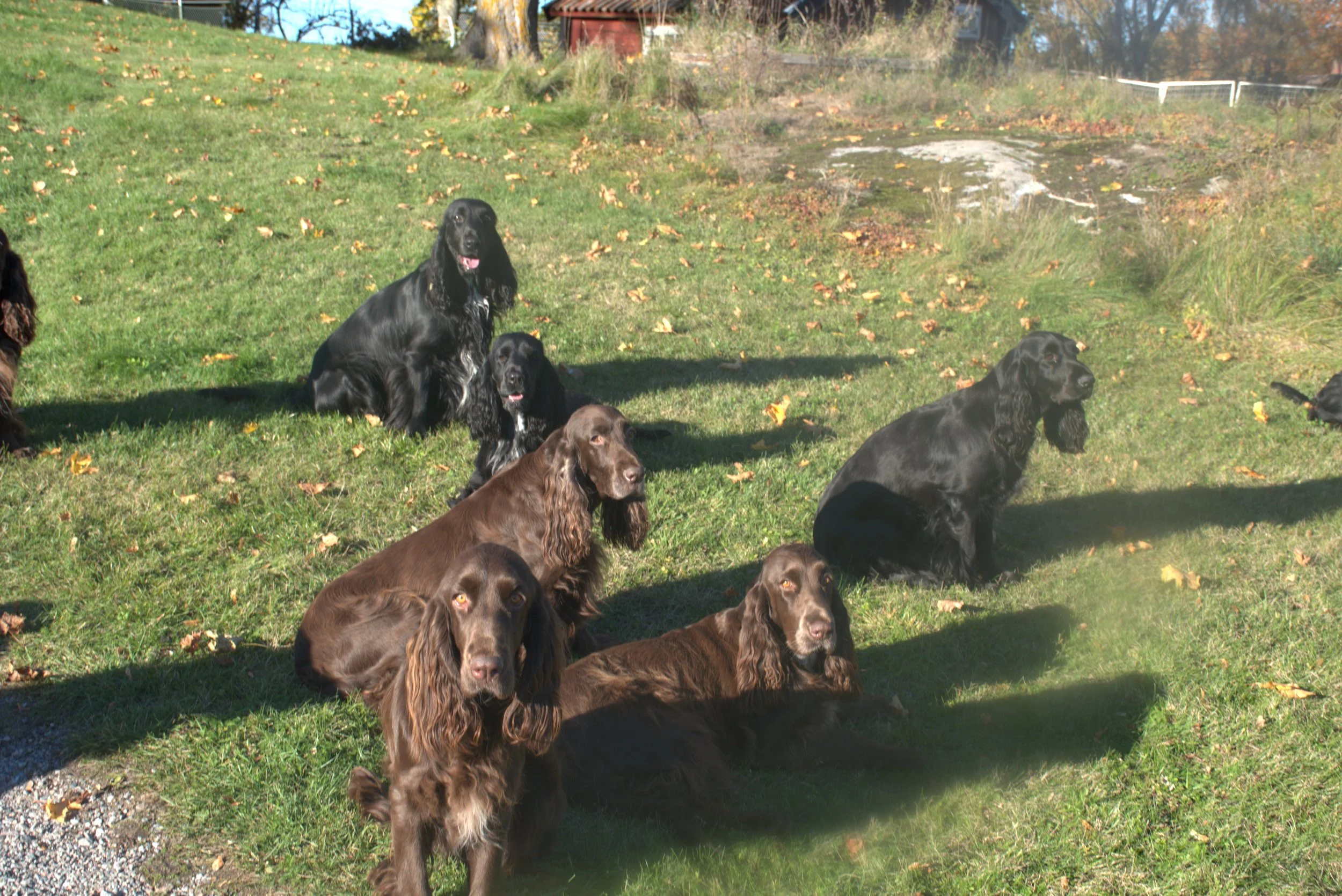 Fieldbarometern 2025 är färdigräknad! 