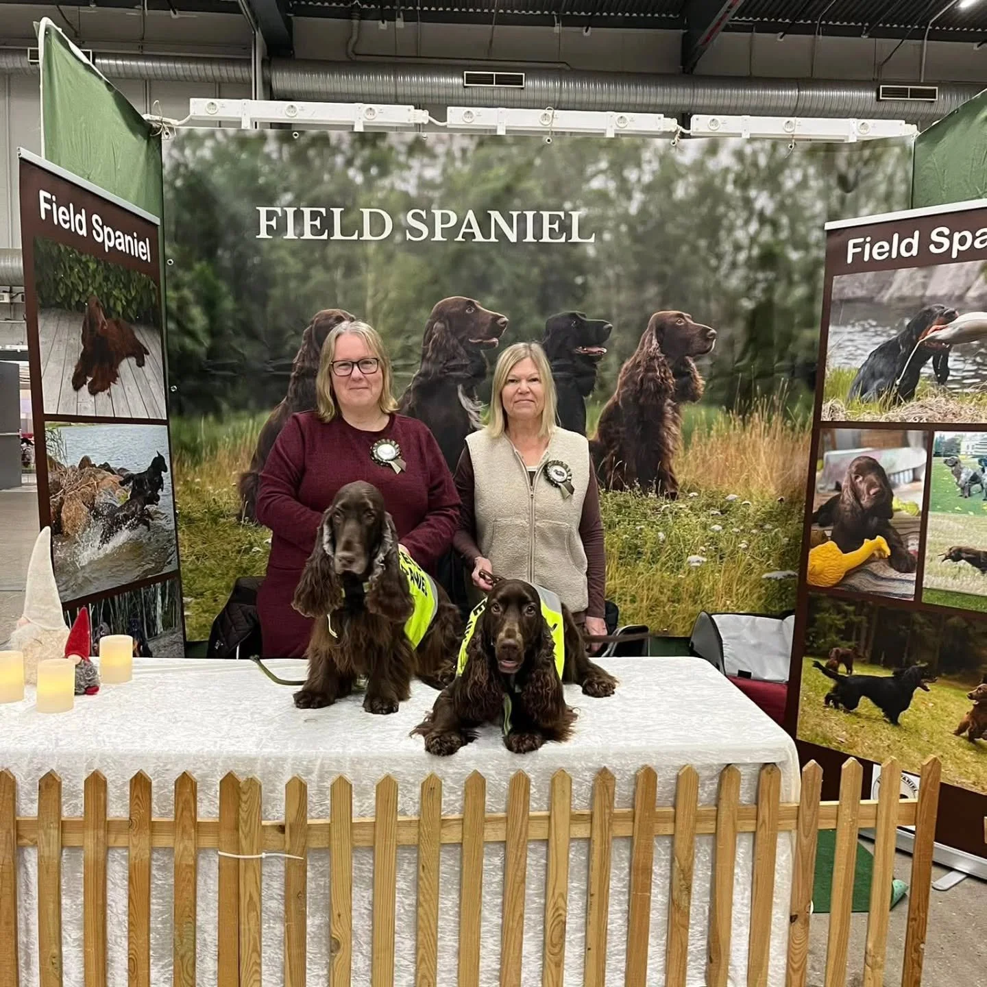 Kom och h&auml;lsa p&aring; oss i rasmontern p&aring; Stockholms Hundm&auml;ssa!

P&aring; f&ouml;rmiddagen finns vackra Saga och P&auml;rla i montern.

Varmt v&auml;lkomna!

@svenskakennelklubben @stockholmshundm&auml;ssa #fieldspaniel #fieldspaniel