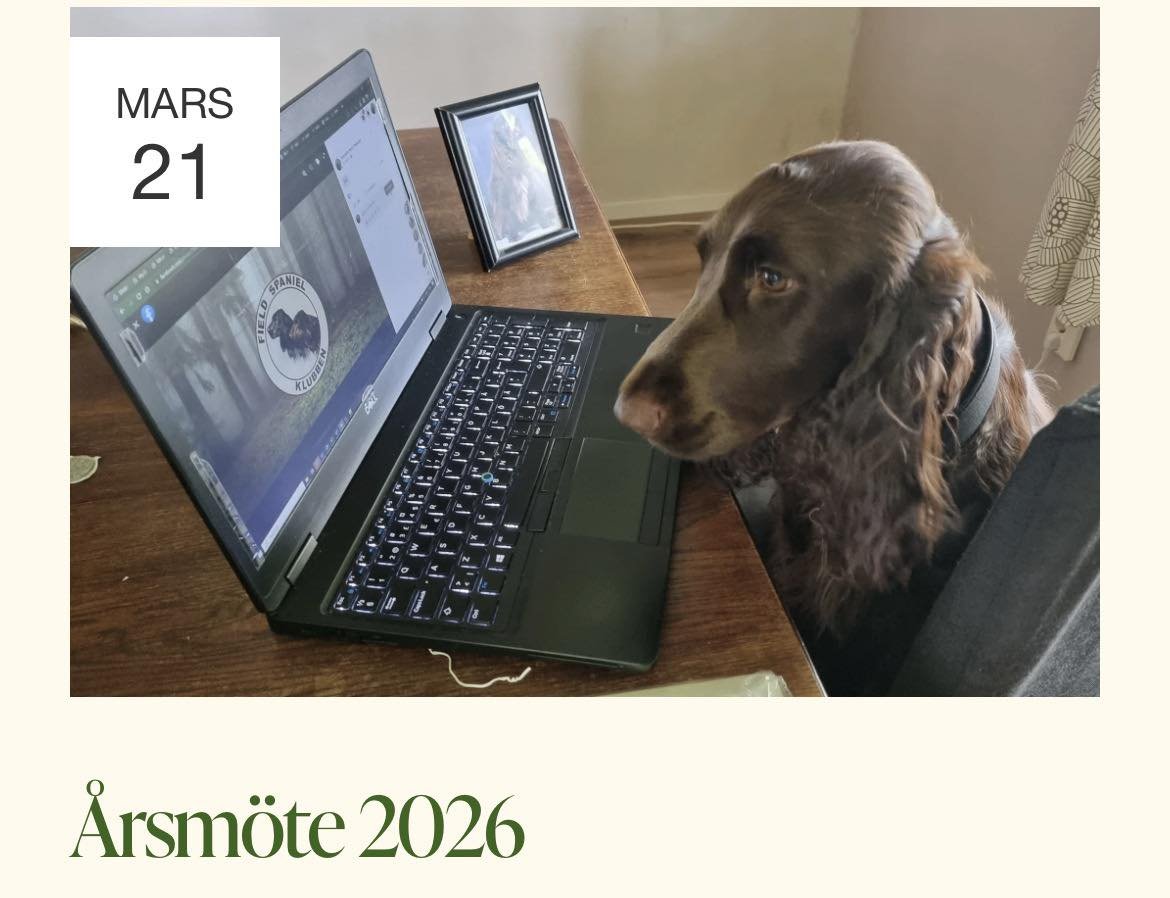 Styrelsen 2026 är uppdaterad!