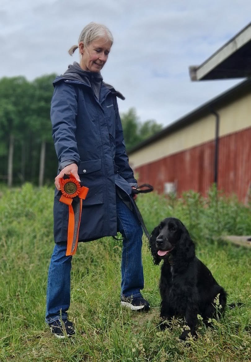 Har din field spaniel gjort BPH under 2026? Då kan du ansöka om bidrag för del av anmälningsavgiften!