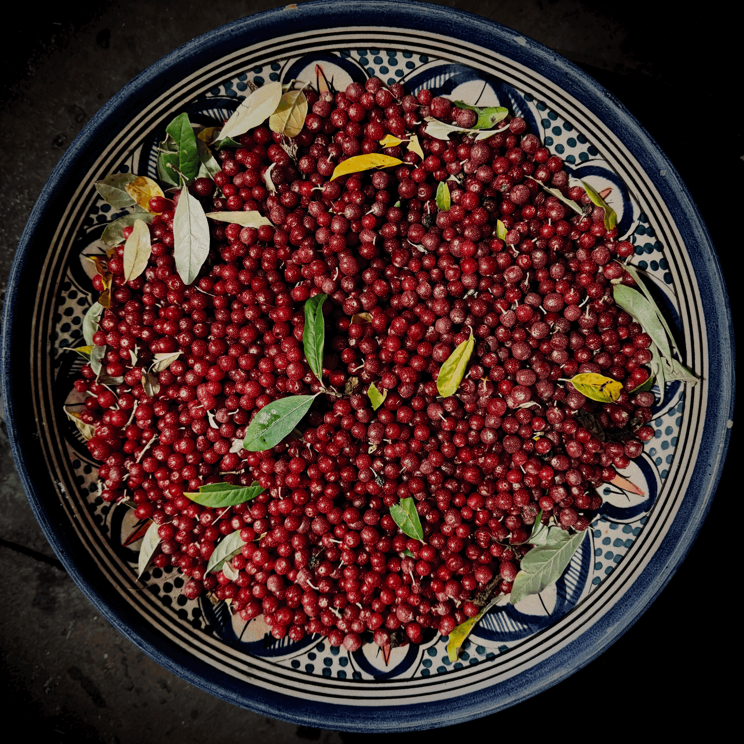 bio-essbare herbstölweiden (200 gramm)