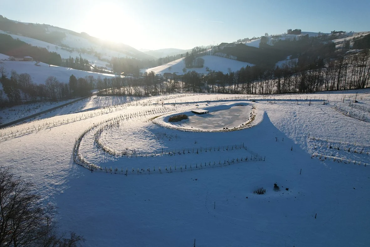 2026.01.19 kuppenteich schnee DJI_0999.jpg