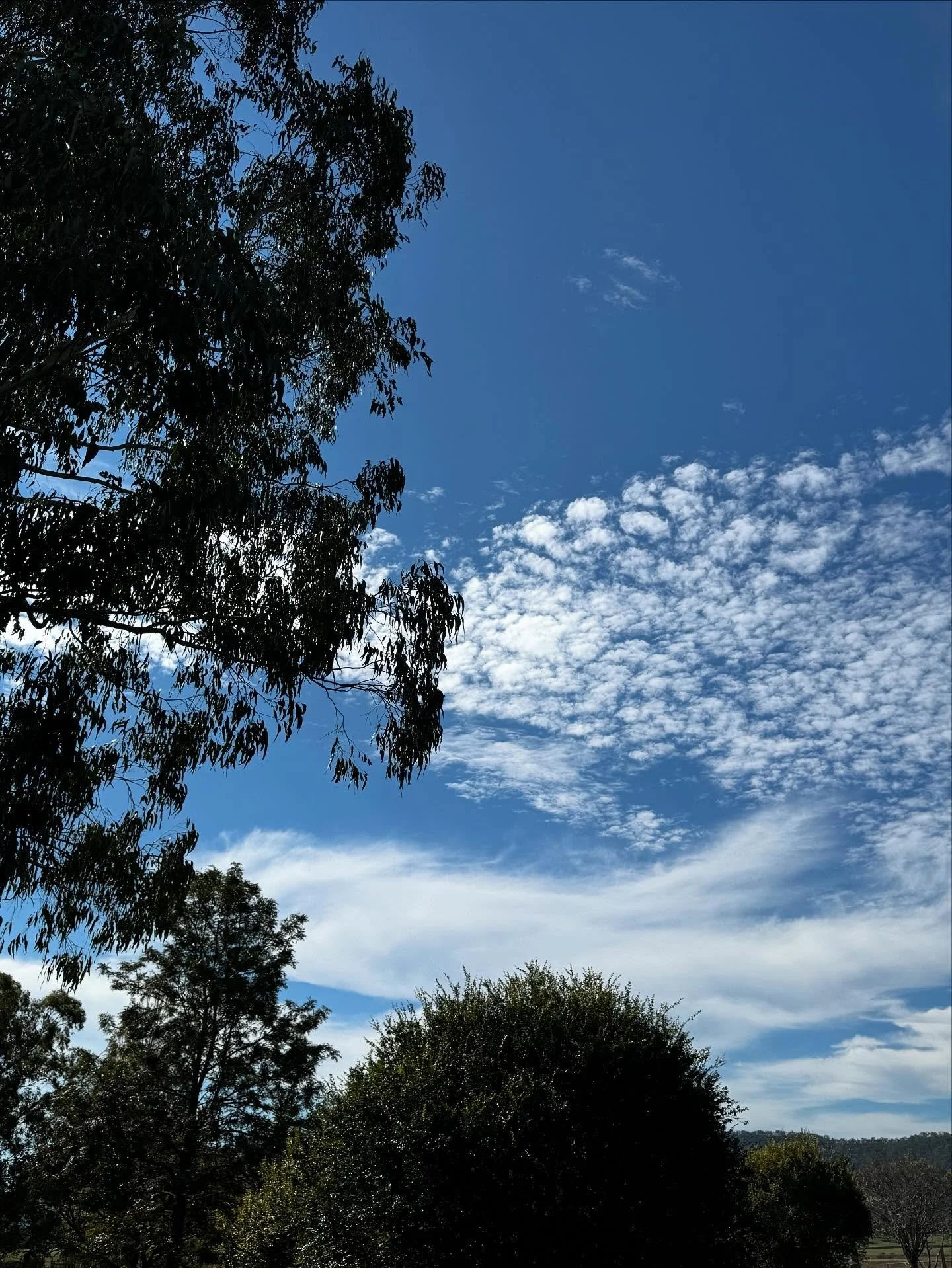 Afternoons.

#hastings #hastingsonchristmascreek #scenicrim #visitscenicrim
