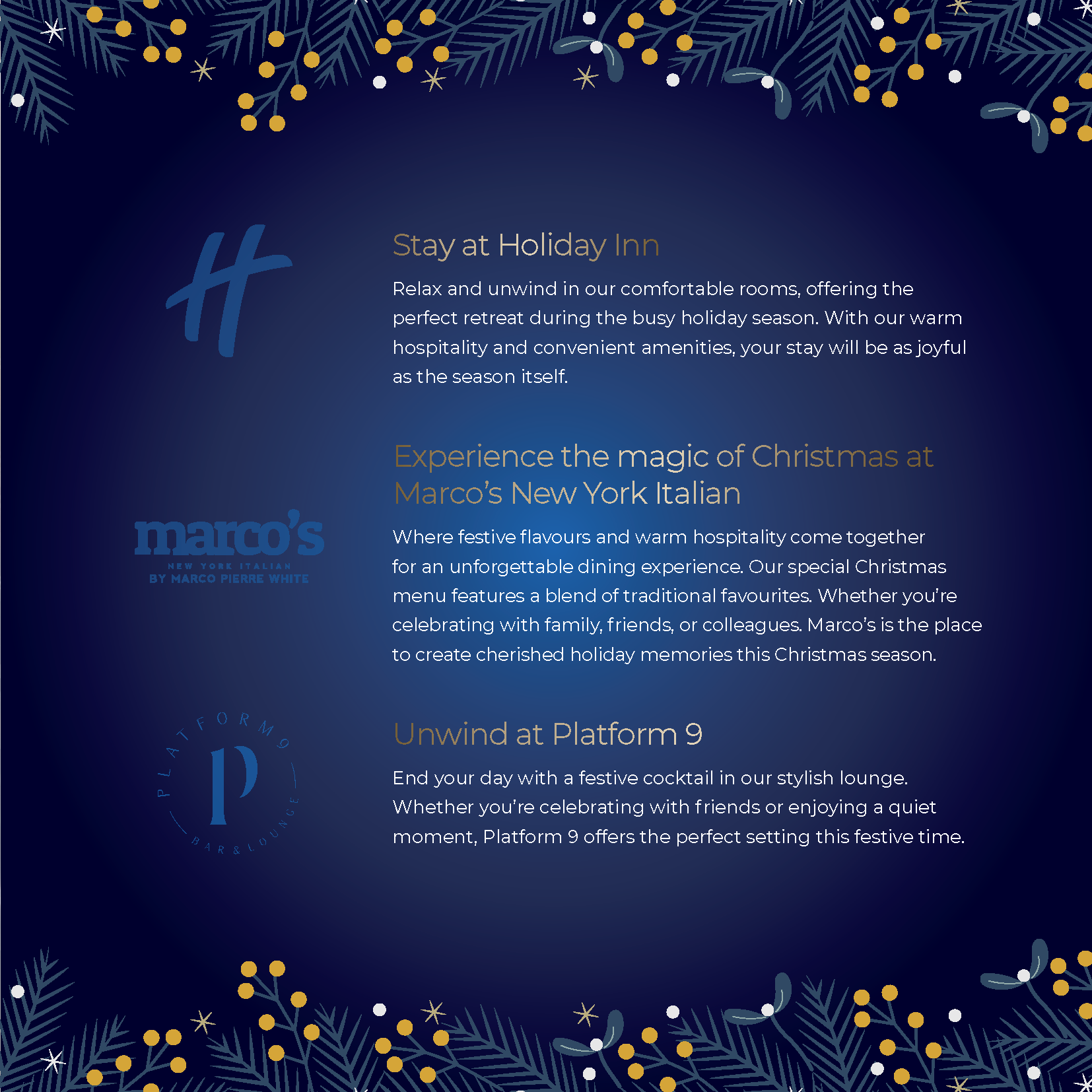 HIB CHRISTMAS BROCHURE_Page_03.png