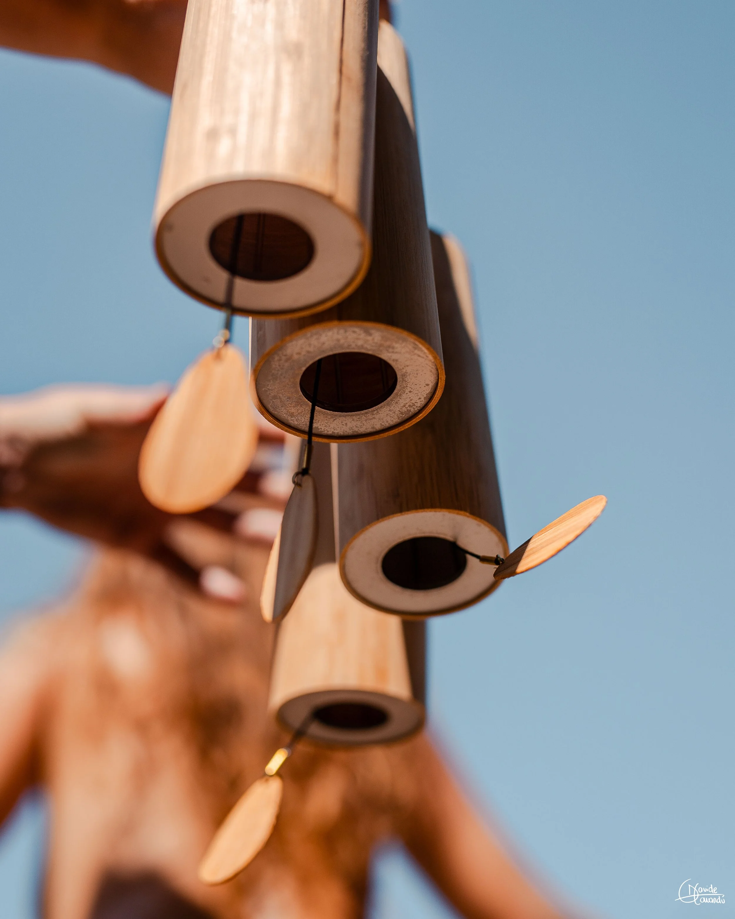 Raffaele Lorenzo Ricciardi Koshi