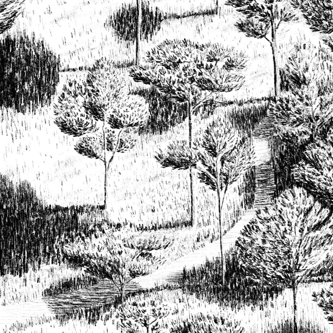 TM-Le large n°3-Slide3.jpg