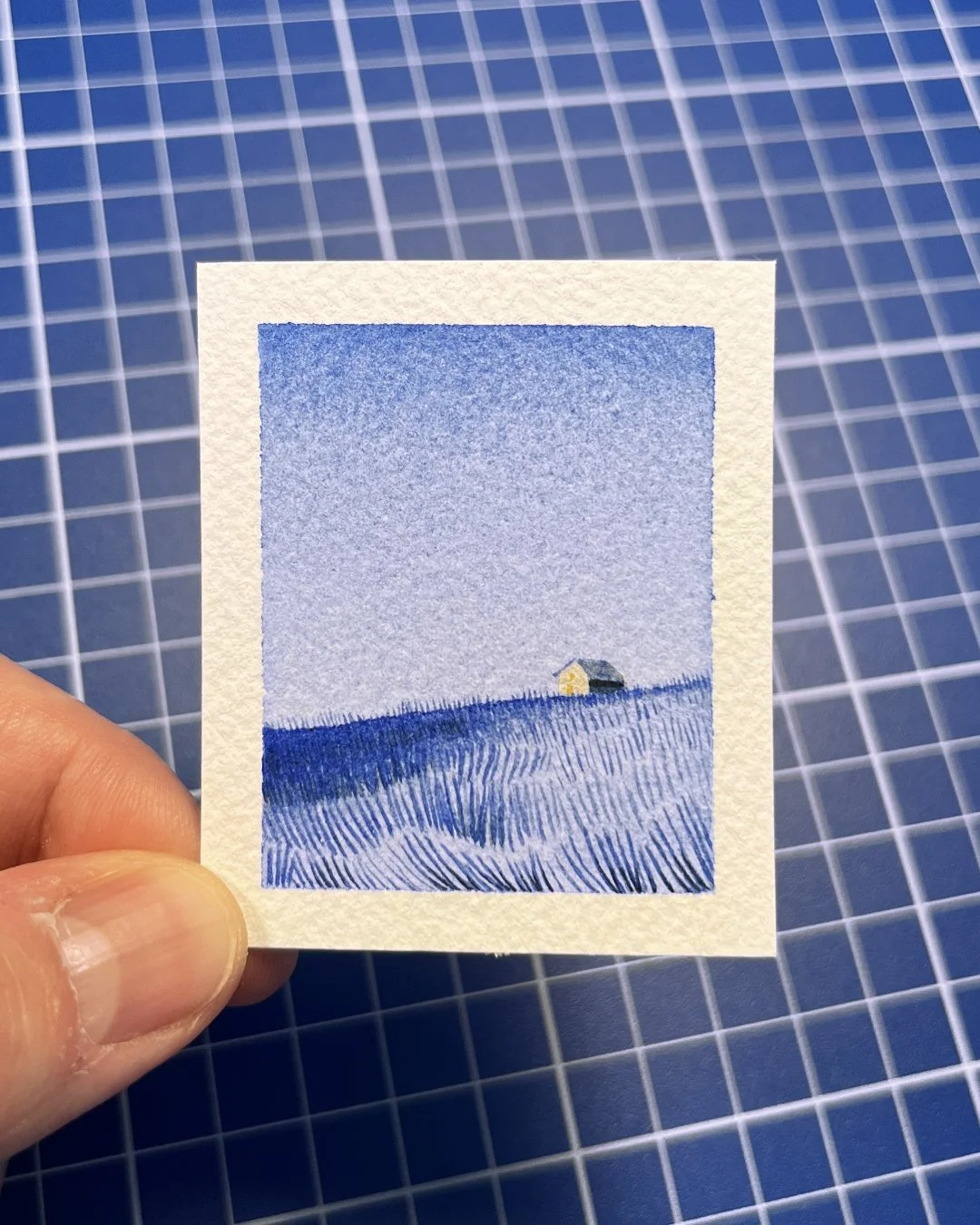 TM-Maison bleue - Photo2.jpg