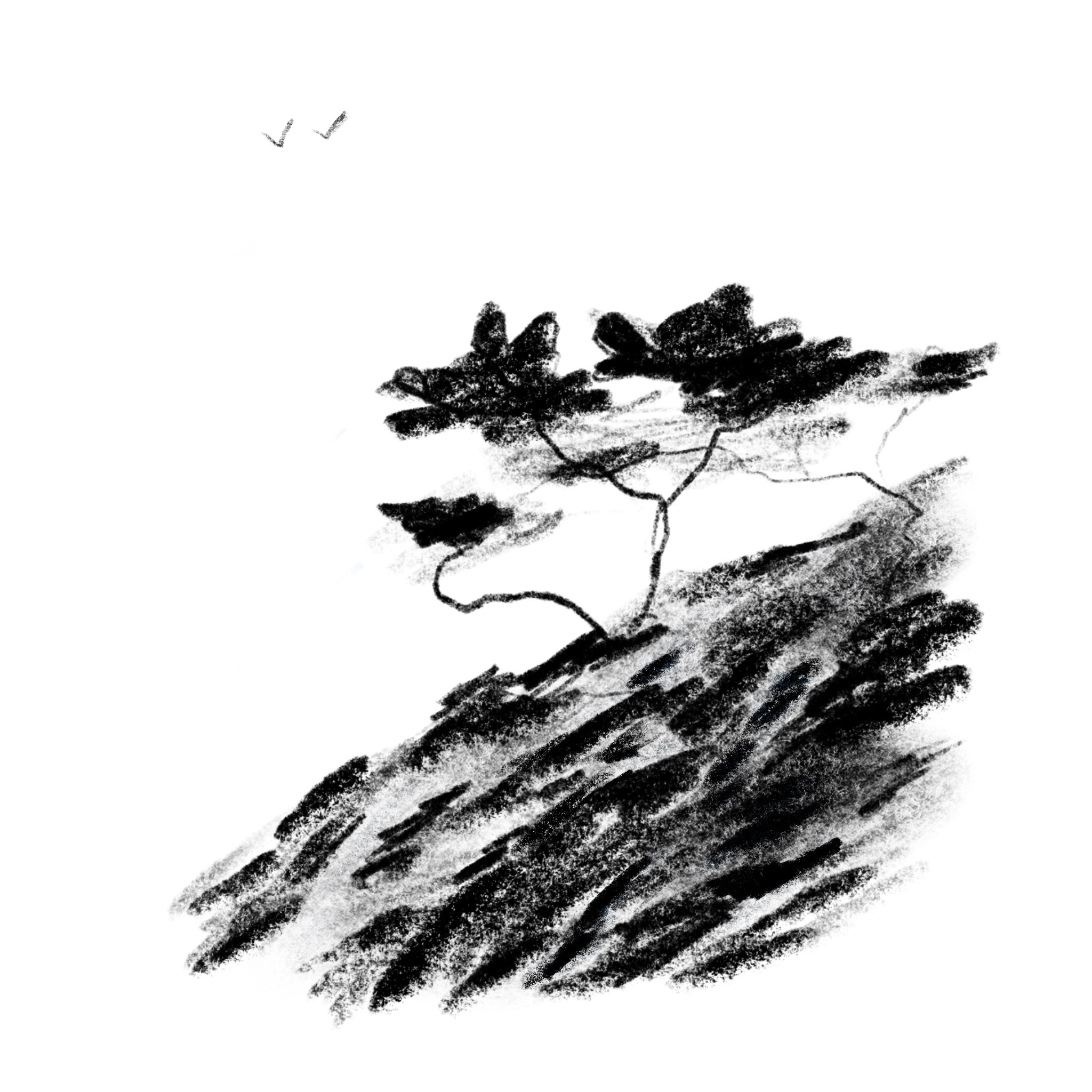 TM-The cliff.jpg