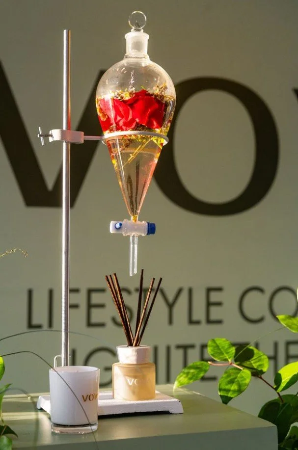 A glass distillation setup with a conical flask containing red flower petals and yellow liquid, connected by tubes and a stand, with reed diffusers and potted green plants nearby.