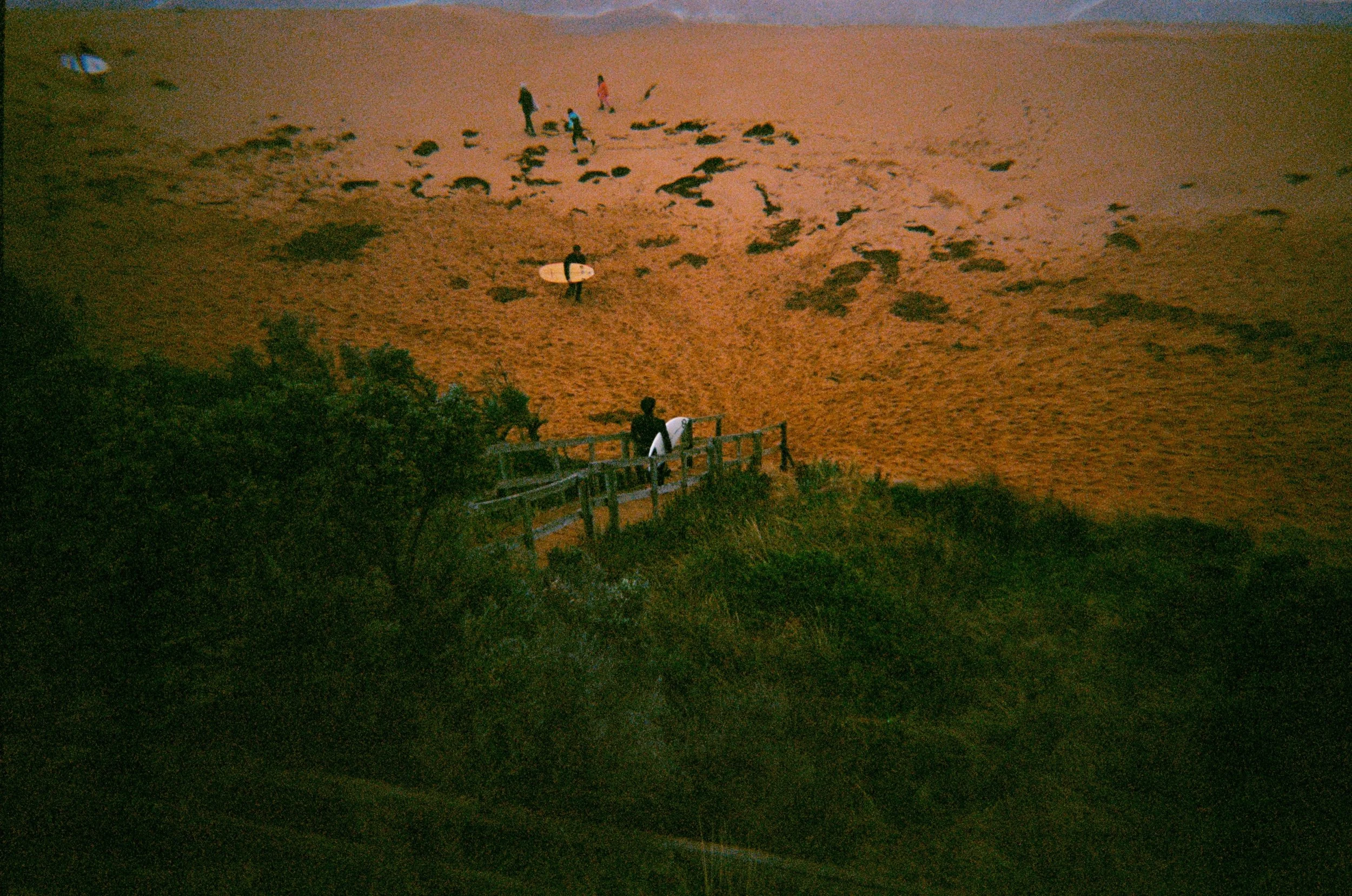 Surfers Reunite.jpg