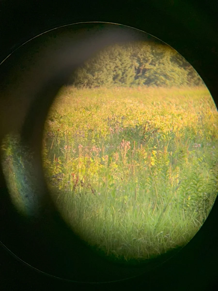 Lens Work