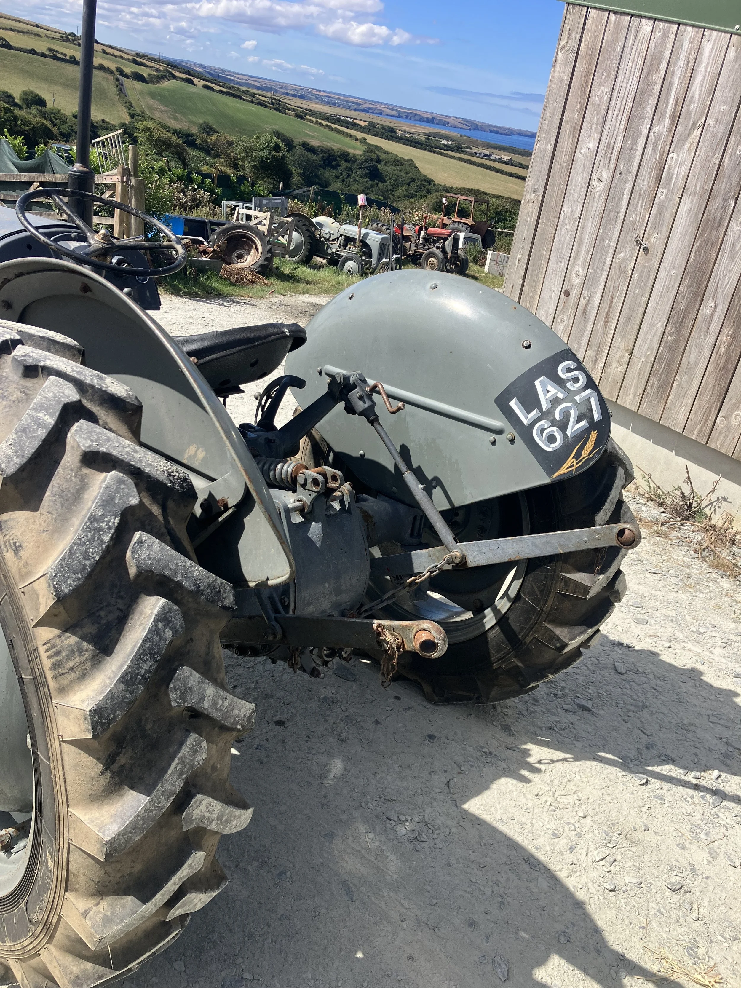 IMG_5006.jpeg