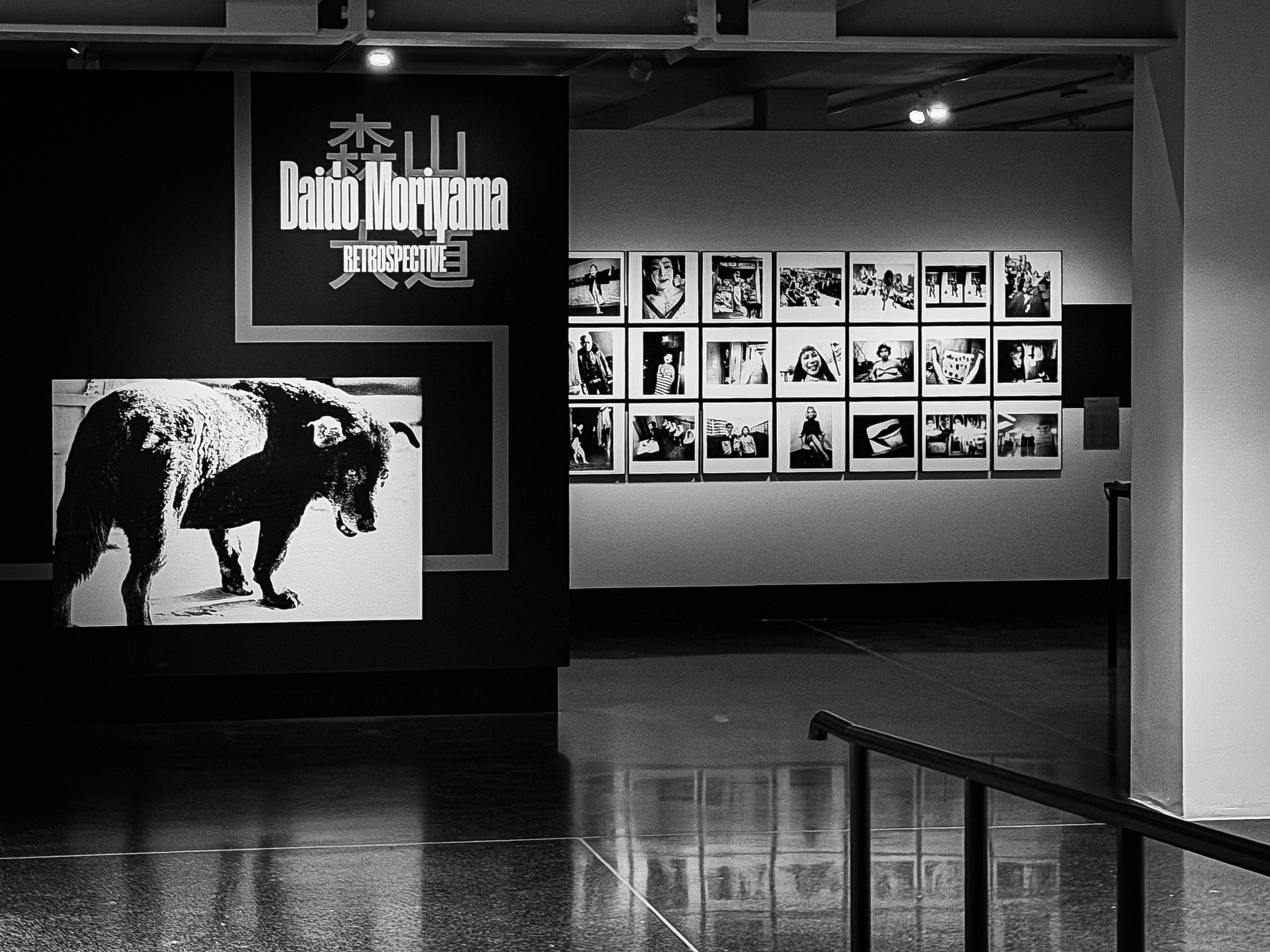 Daido Moriyama. Eine Kamera zwischenschalten.