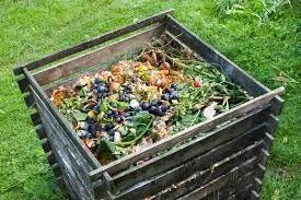 composting.jpg