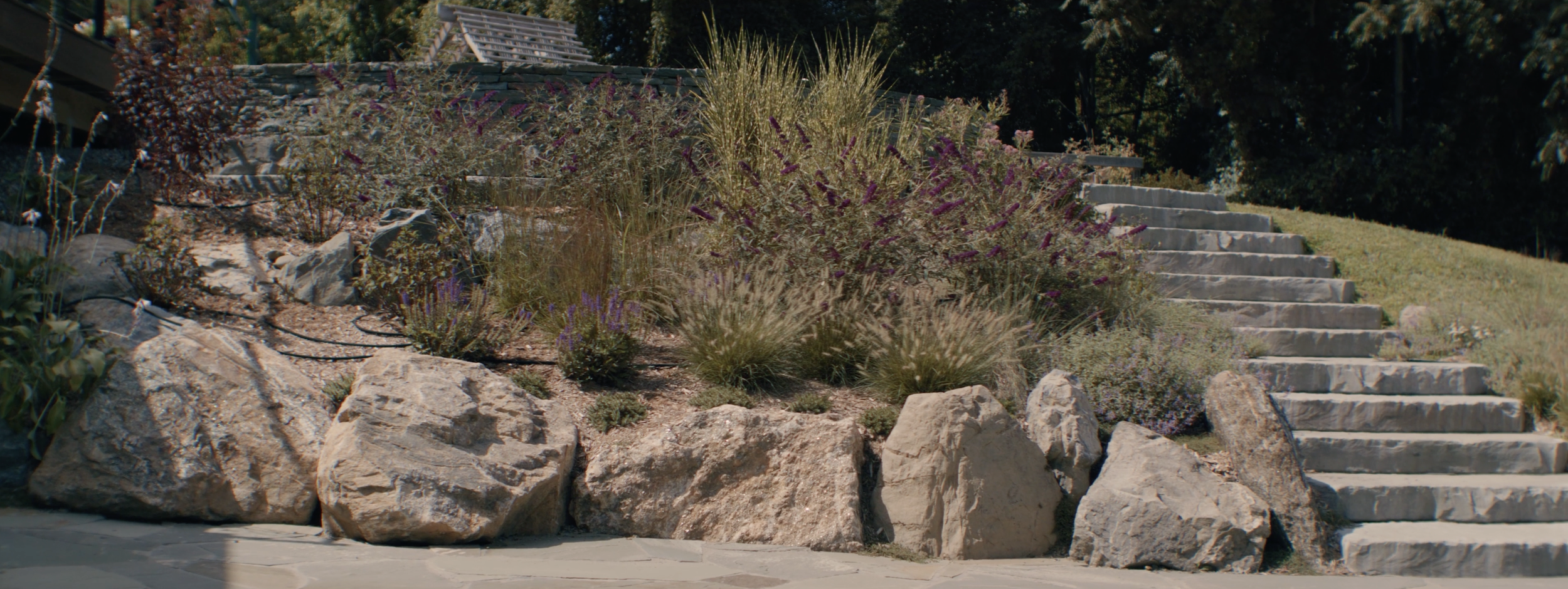 2025 Full sun perennial garden design | Pleasant Valley